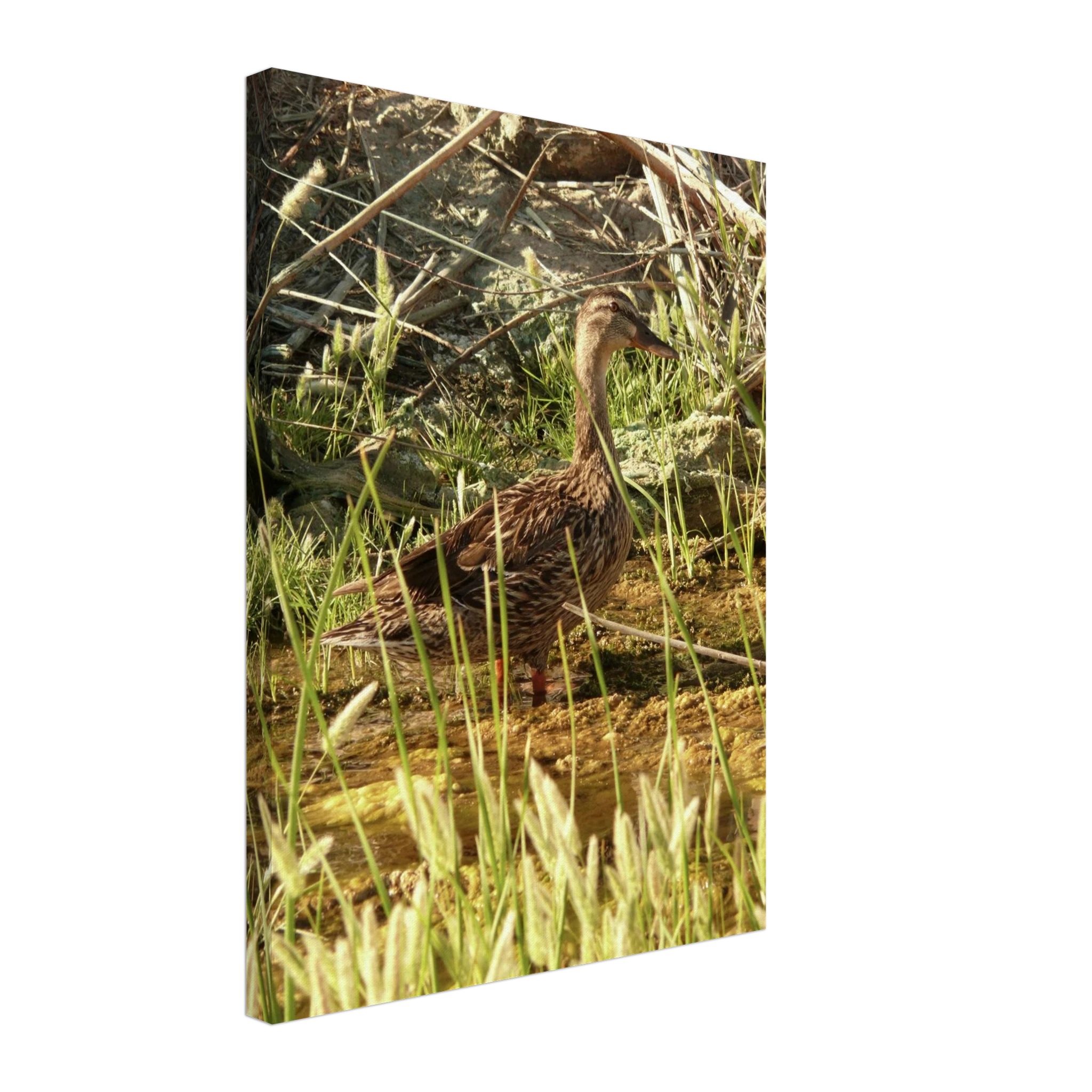 4f108dee-a9ff-4784-afe2-6f74e399c6d5