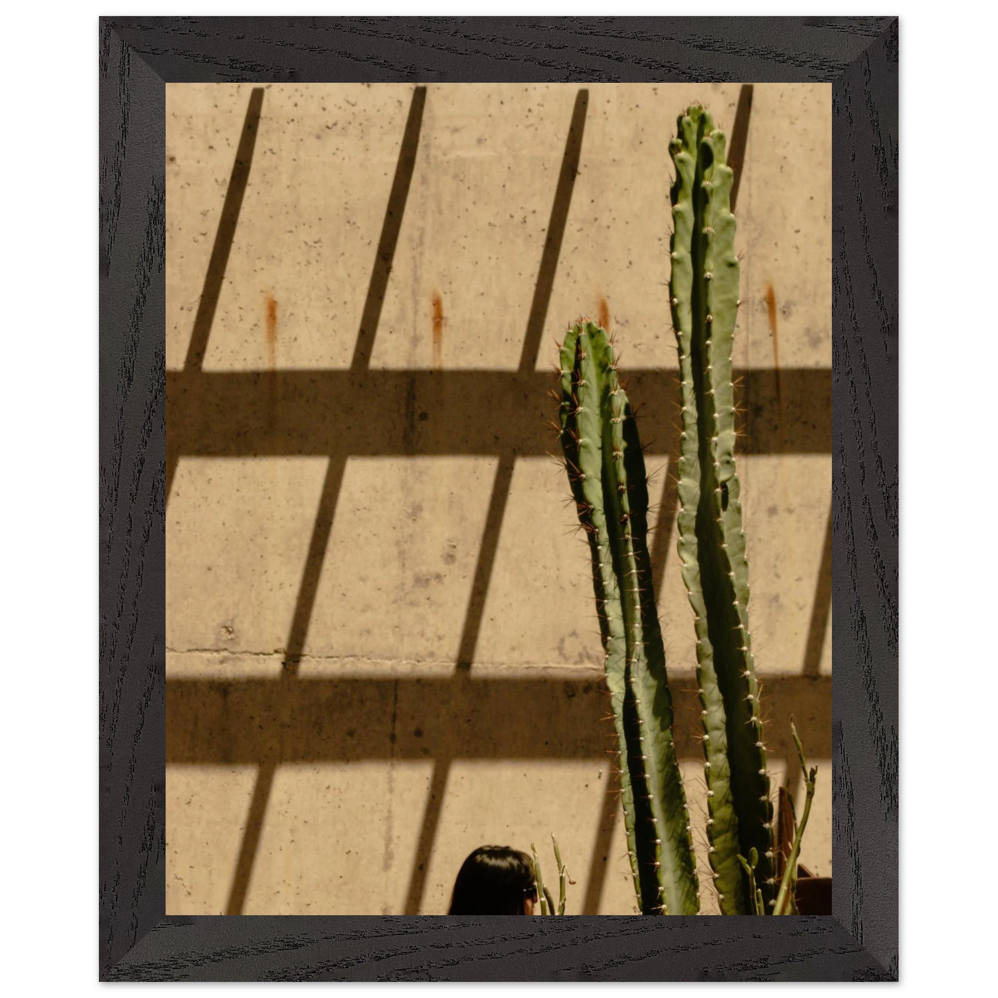 51444a13-71cd-4f0c-8533-632d1d57fbea