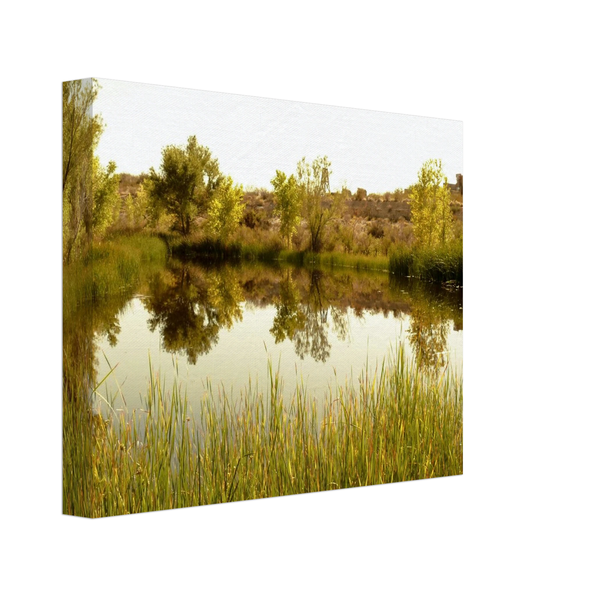 54454a2f-079e-4b21-b898-6c6d9fcca046