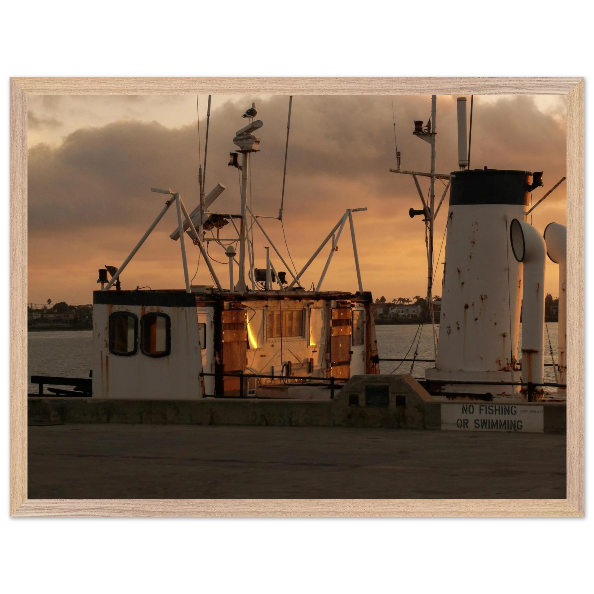 555c5d65-d551-497e-a000-4ddca2407736