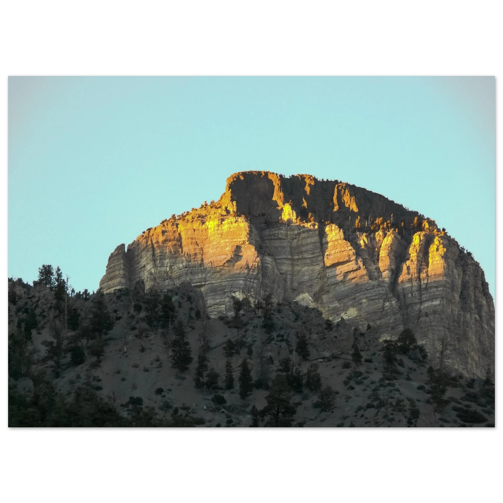 55cce29b-0d3a-4c46-b6c9-754e3185a9f5