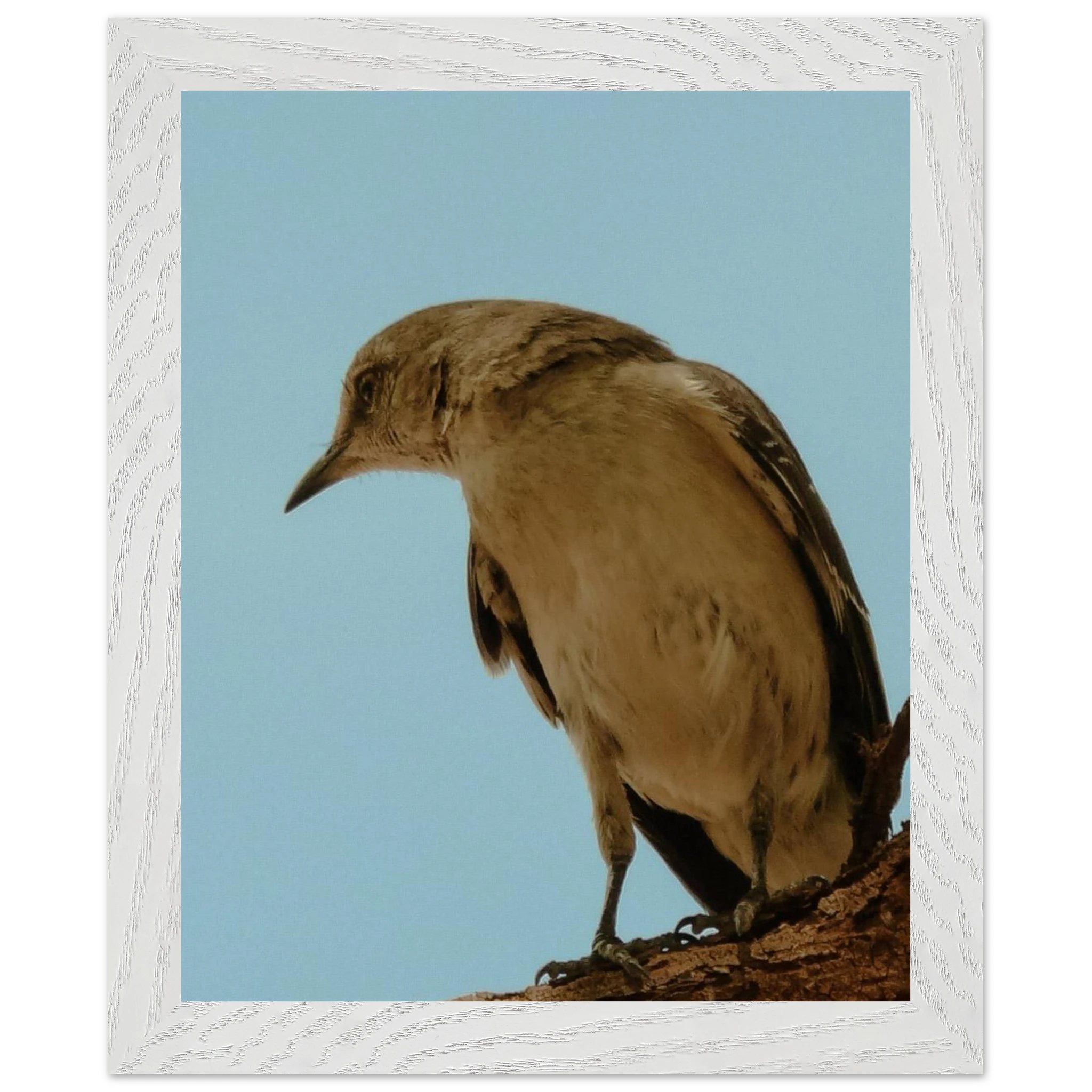 5b0cc281-0b58-42a8-a40b-5efc920d530a