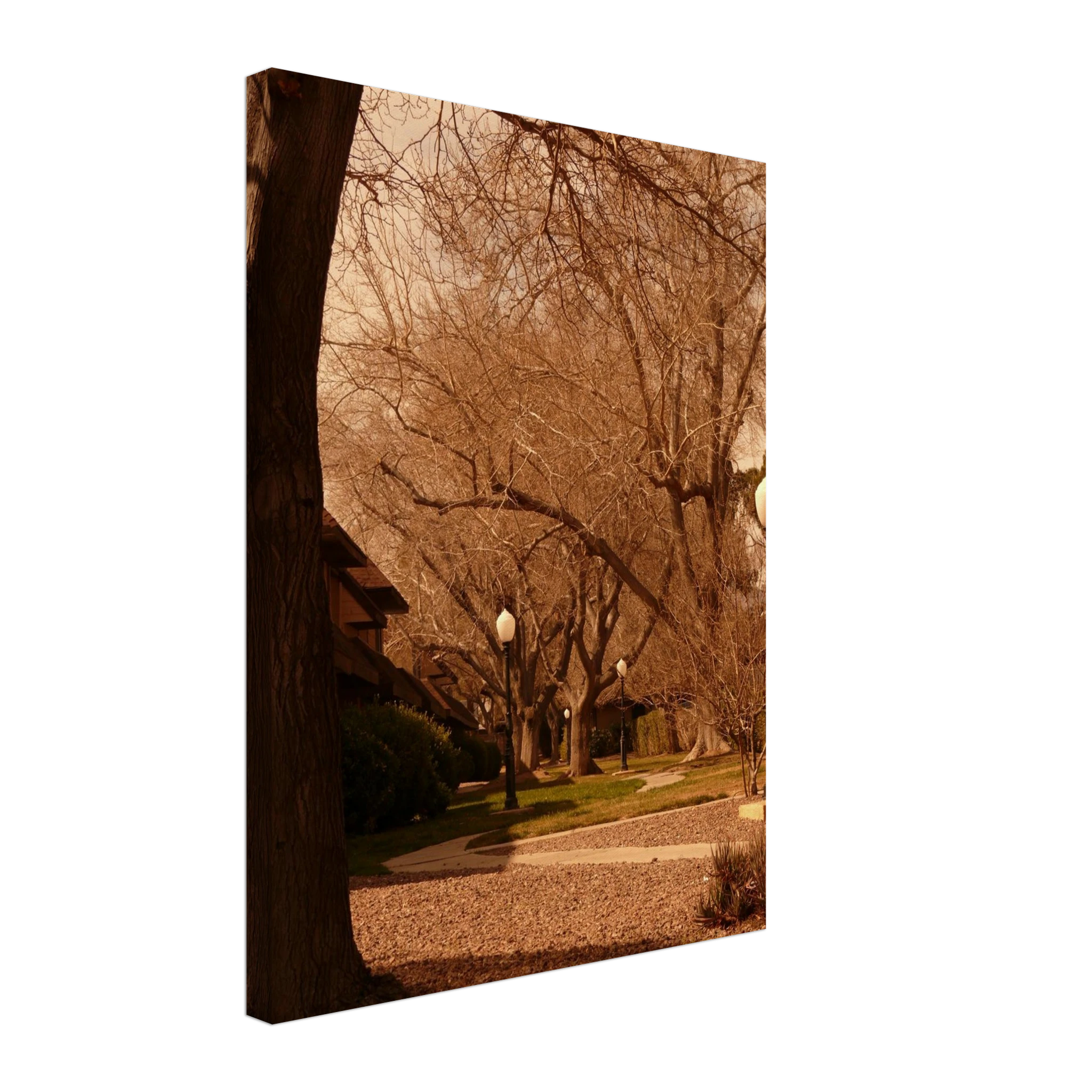 5eda0266-bb31-46d6-aac7-622cbc0b8d31