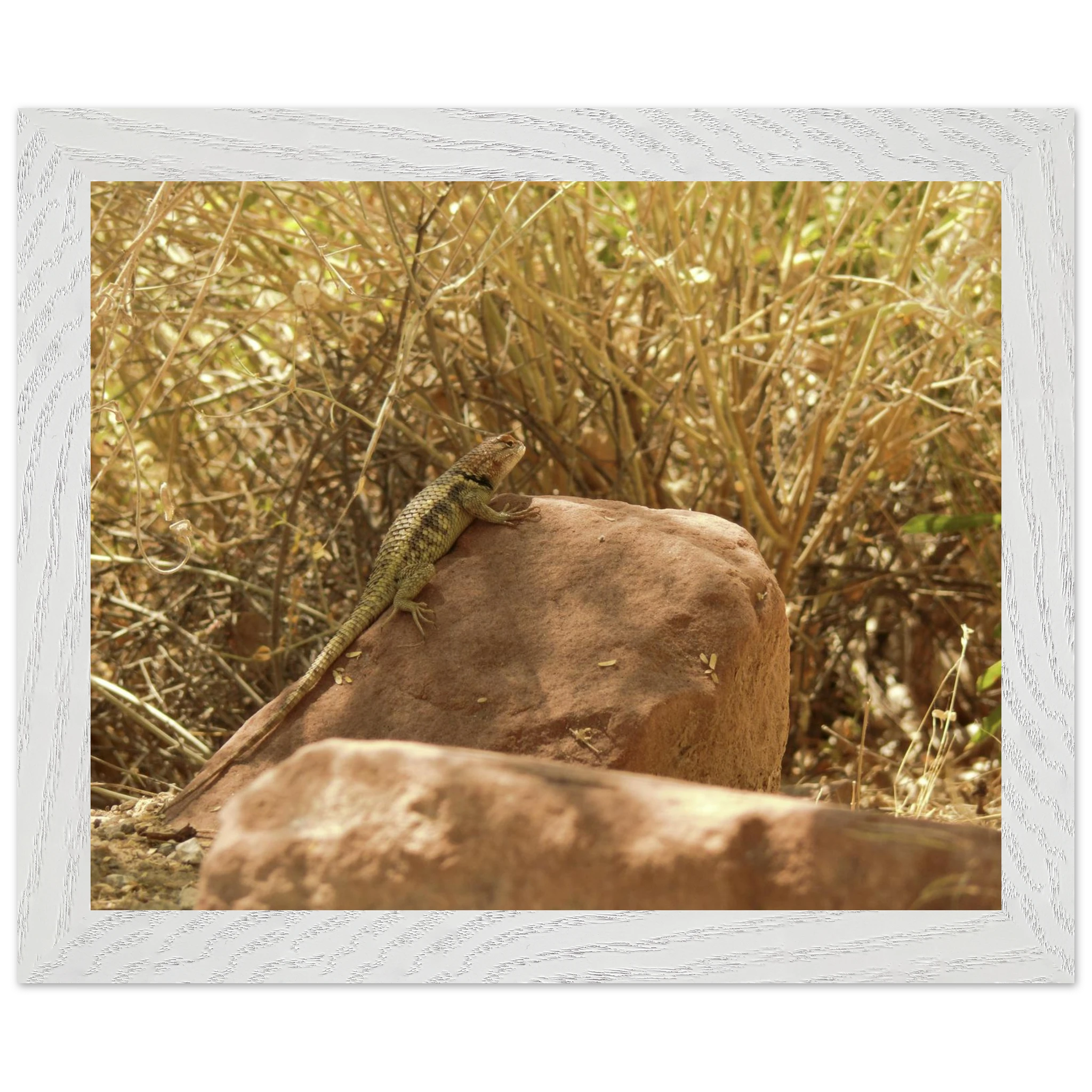 5f14b30b-e5cc-4f21-af84-e2d7122b3192