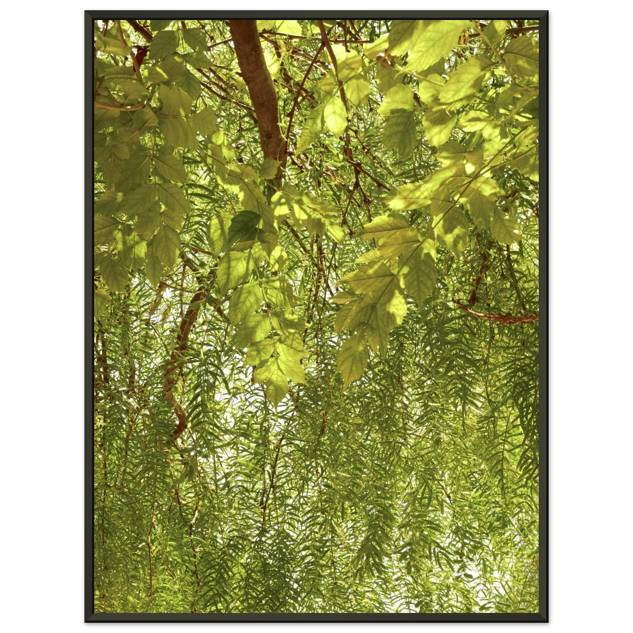 5fd3265d-29dc-464c-9f86-d75de1bab111