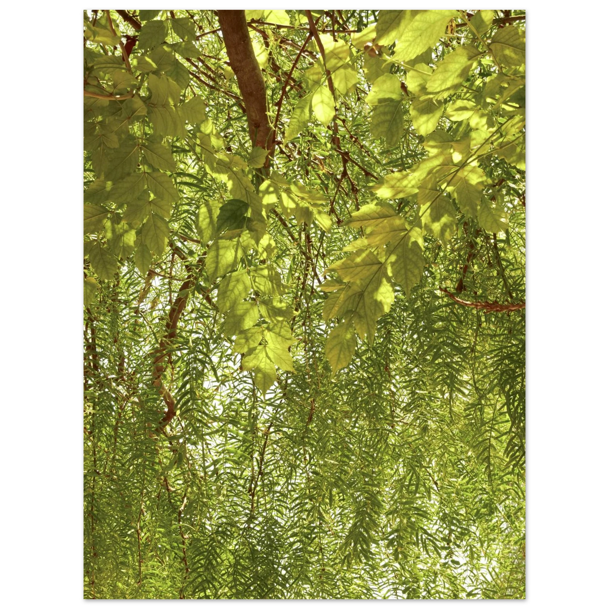 60c68a25-6677-4396-8faa-0be362fab1ad