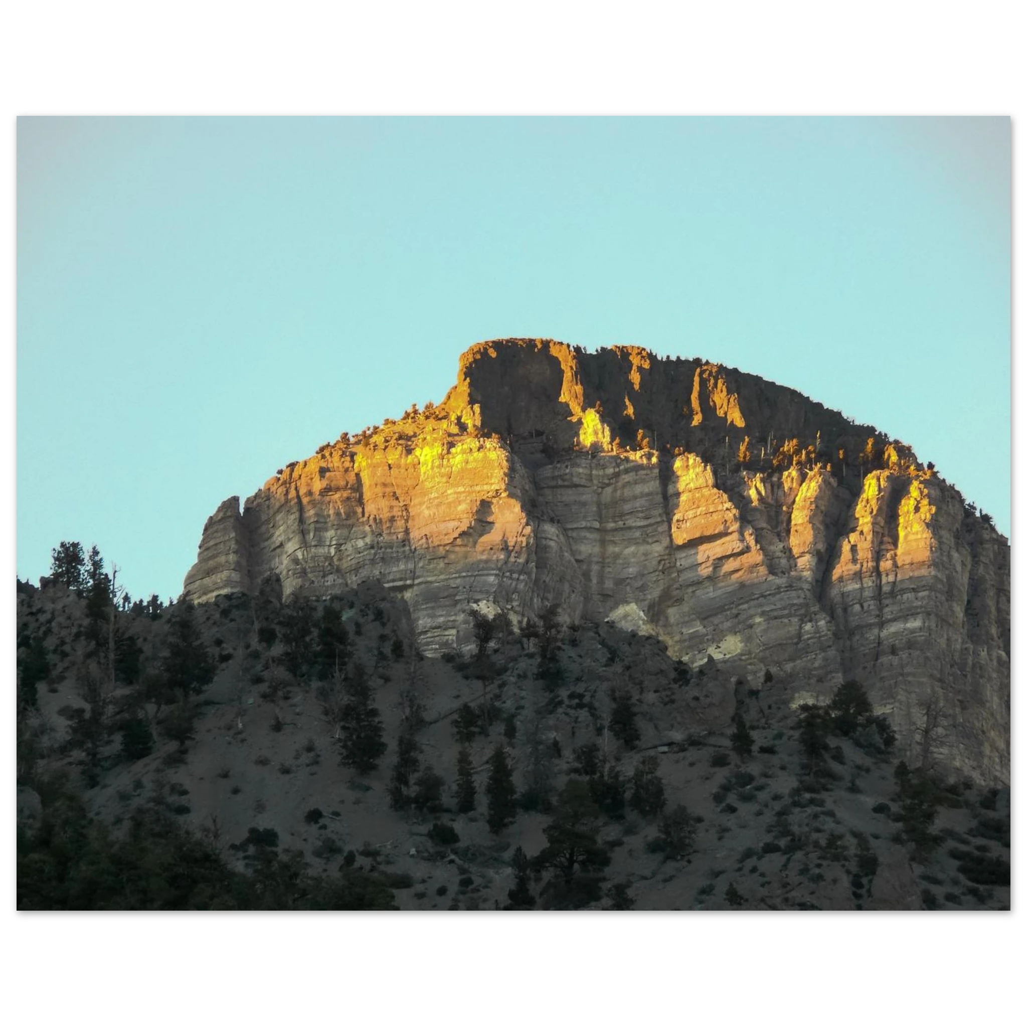 614553ef-9737-44ce-9eb1-70a3bc4384fb