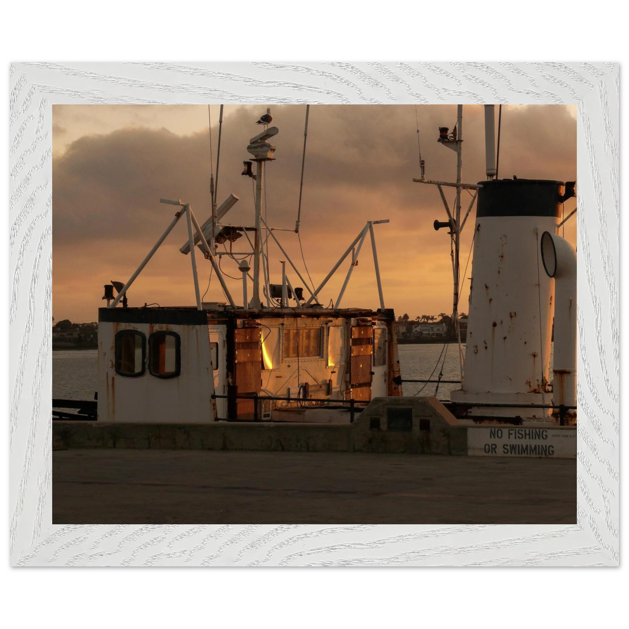 646eb86e-d7bb-4301-b24a-fbd6c63faf15