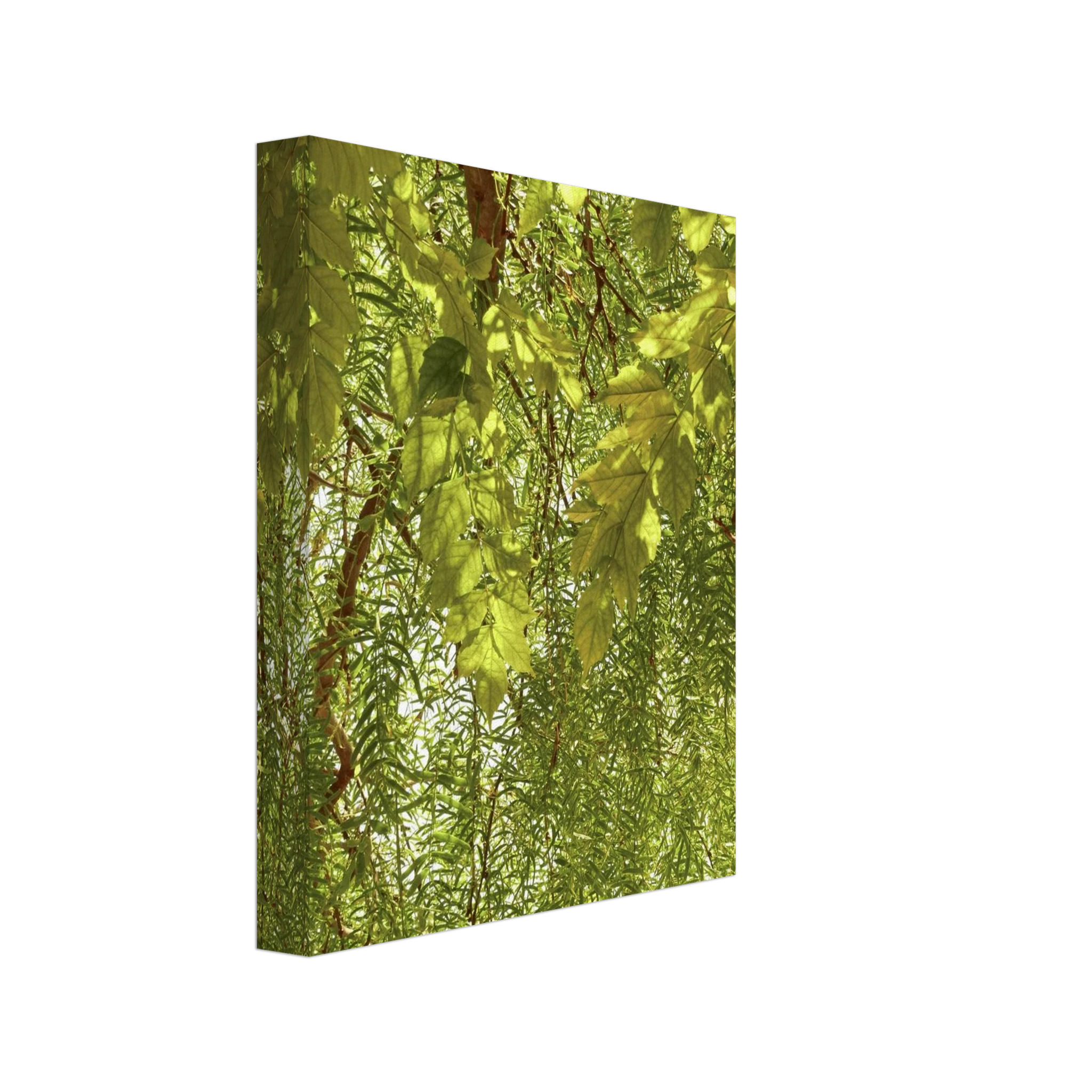 651050e2-41f9-4c7b-bff0-7cdbbda74d52