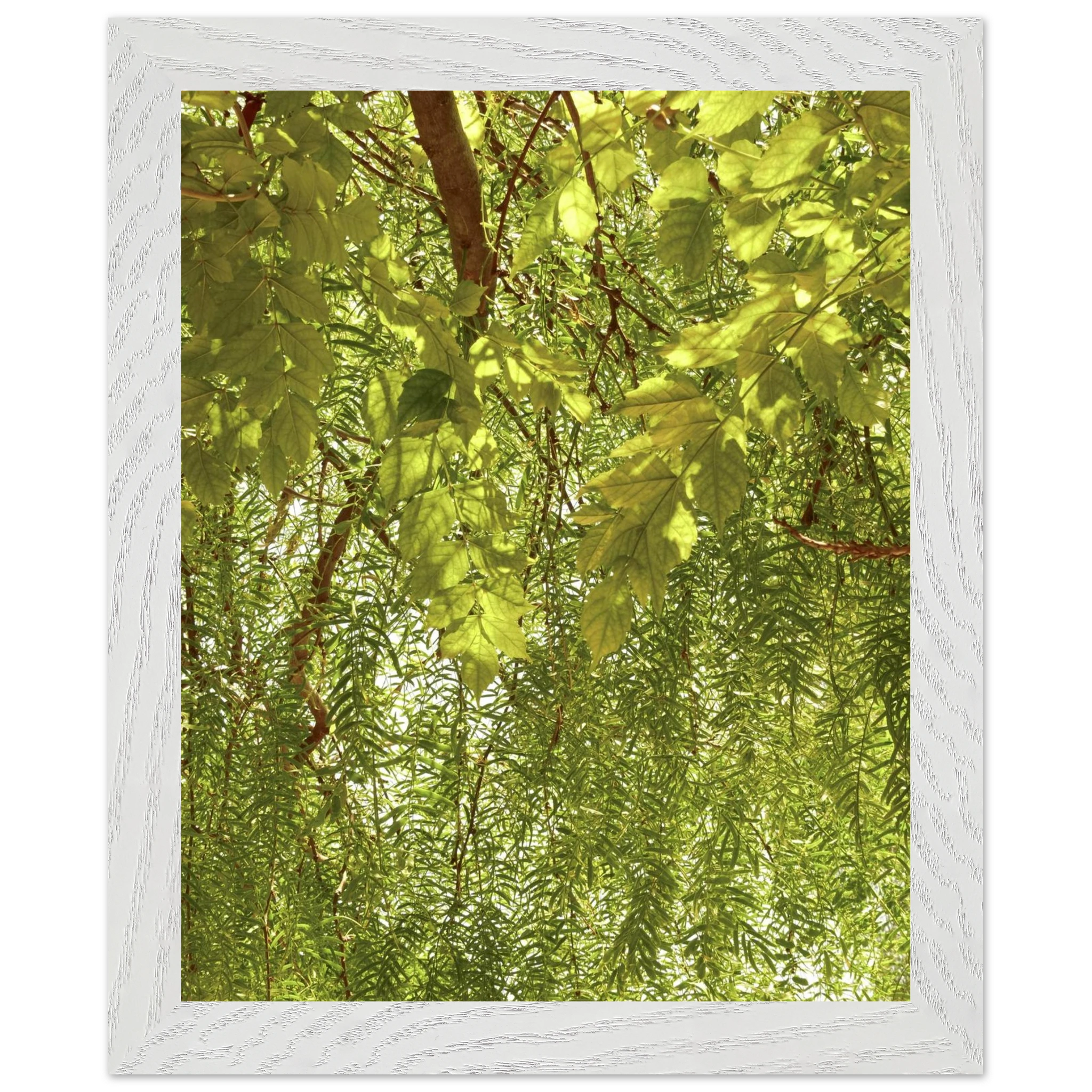 6c92b966-f164-48c1-b348-743e63de2e7e