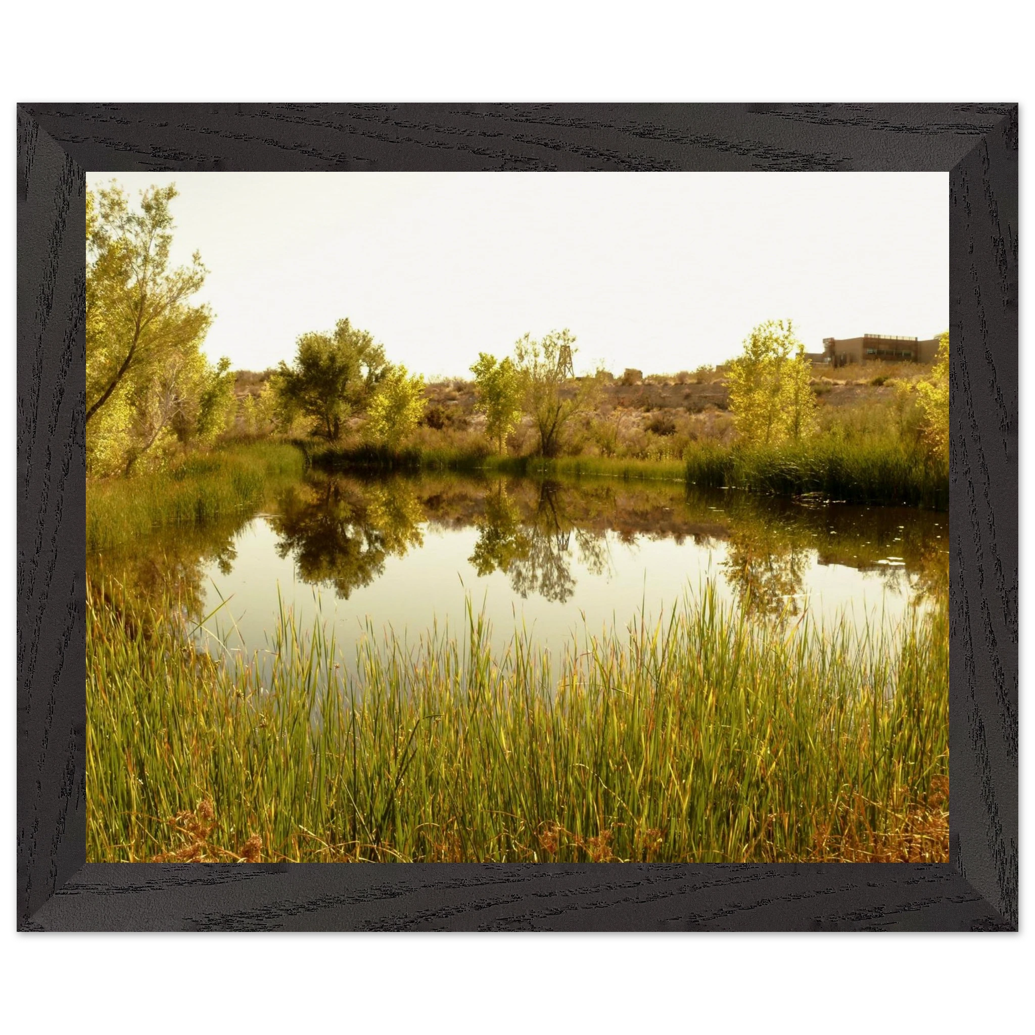 6d7abfd5-8e8c-43a5-b6d7-489dfeaee42c