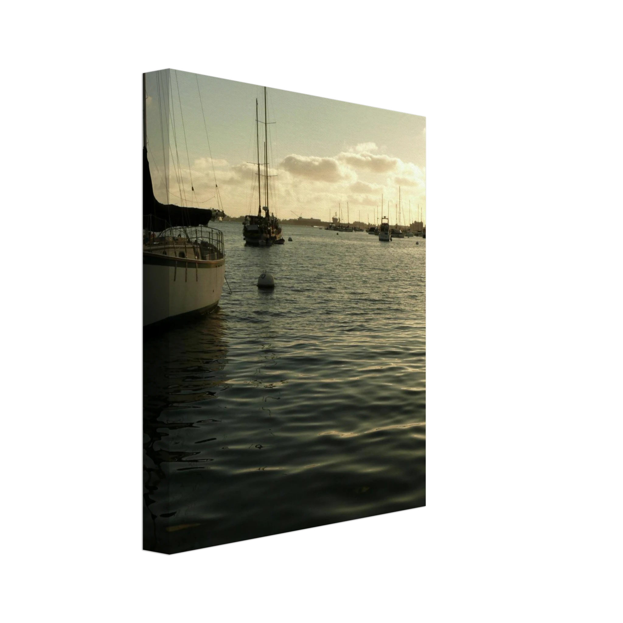 6e25fefb-8d9f-4d0f-9a12-4a31bab099ed