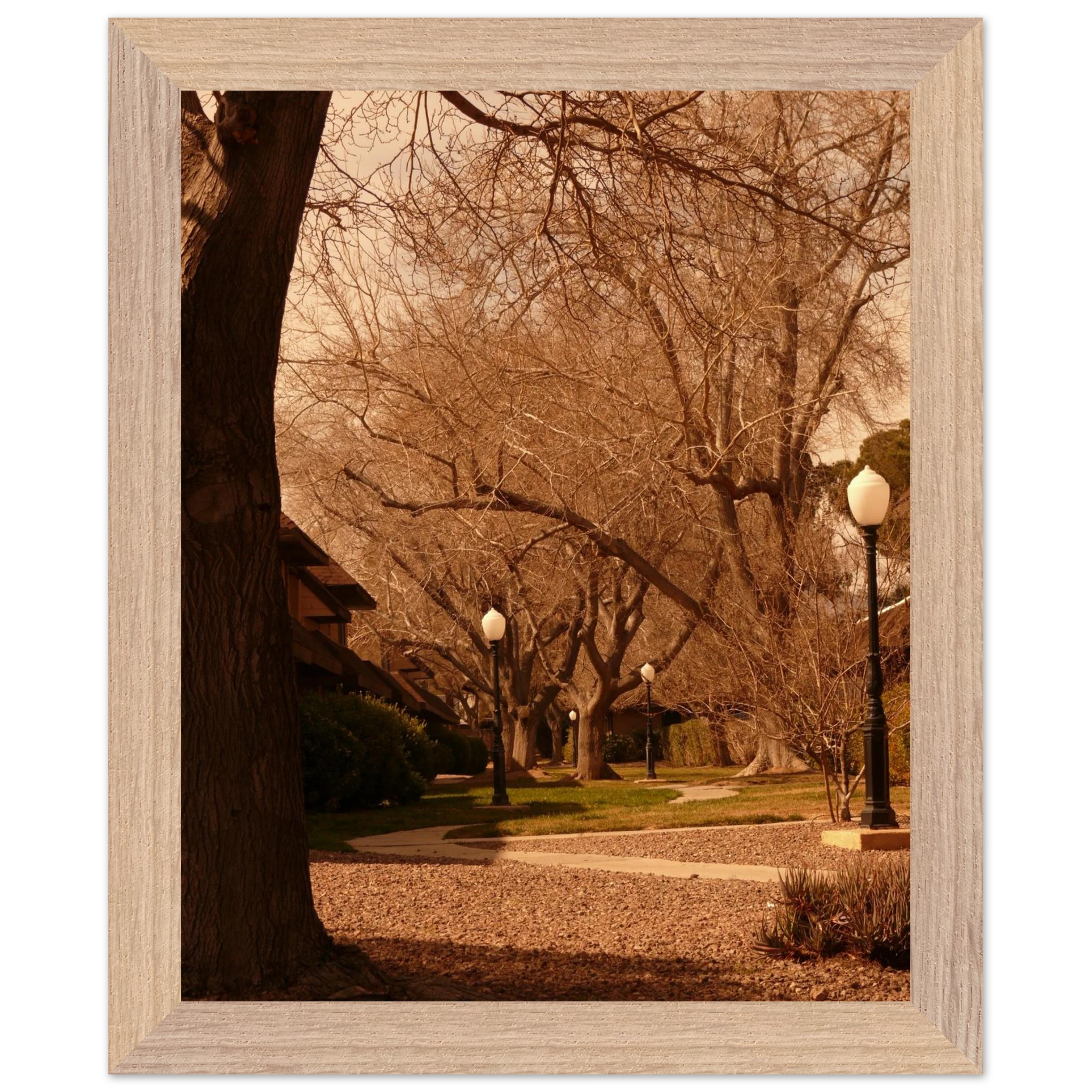 6ed8e064-5ae8-4922-9e94-77abcf920b81