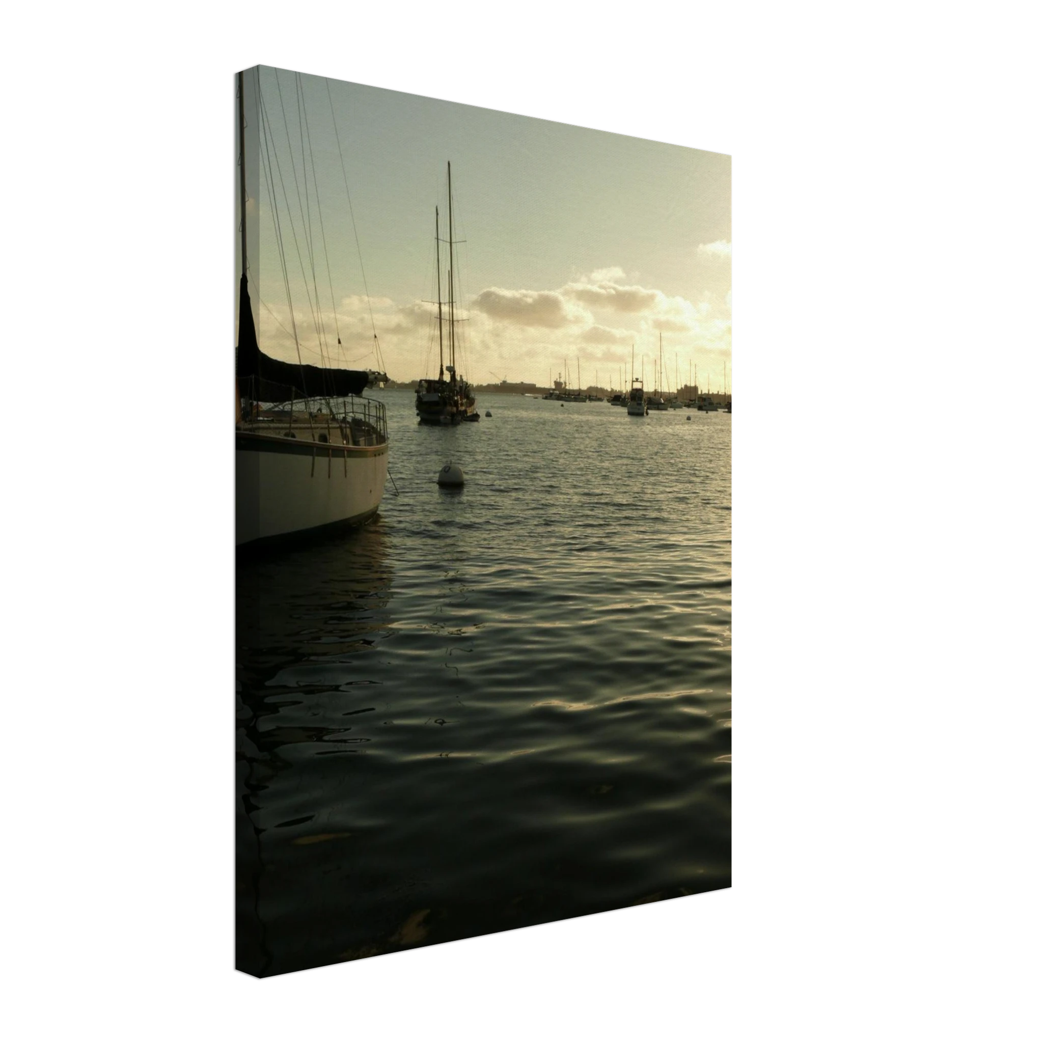 6ef85376-1756-416f-9092-d0186962b6cf