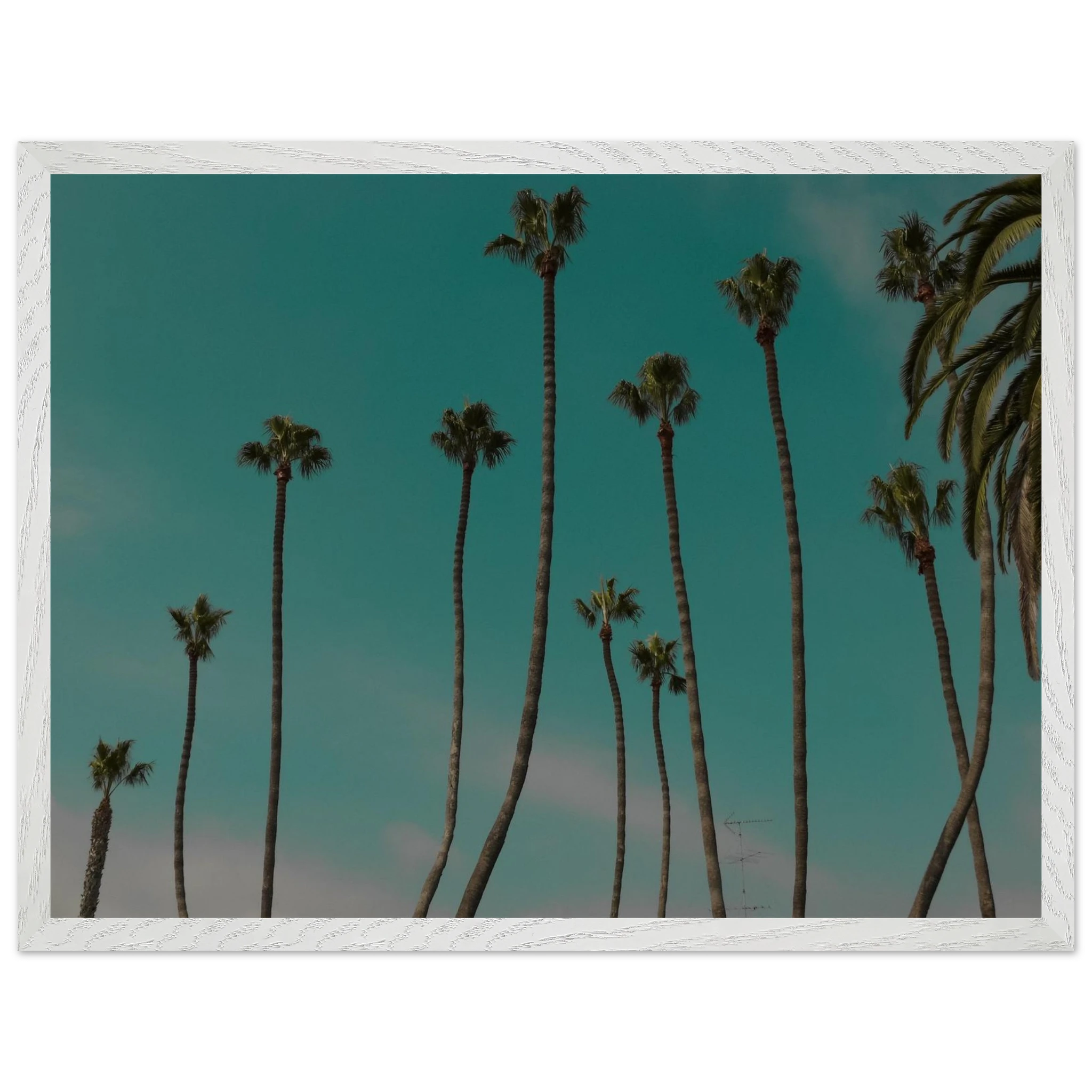 70ce84d8-9b69-4374-93fc-da3696f0c2d9