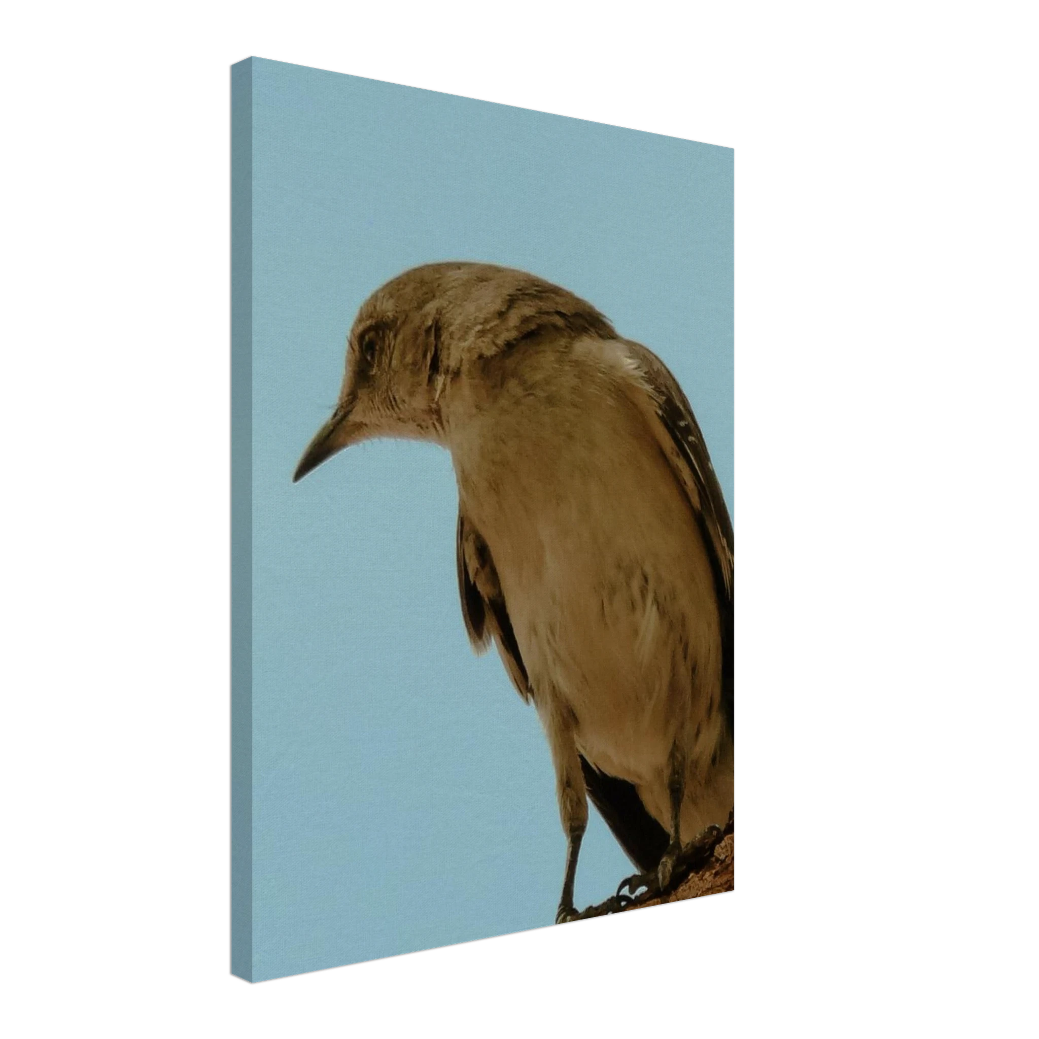 70dcfe6b-cca3-4dd0-bdfb-6d664f7769b8