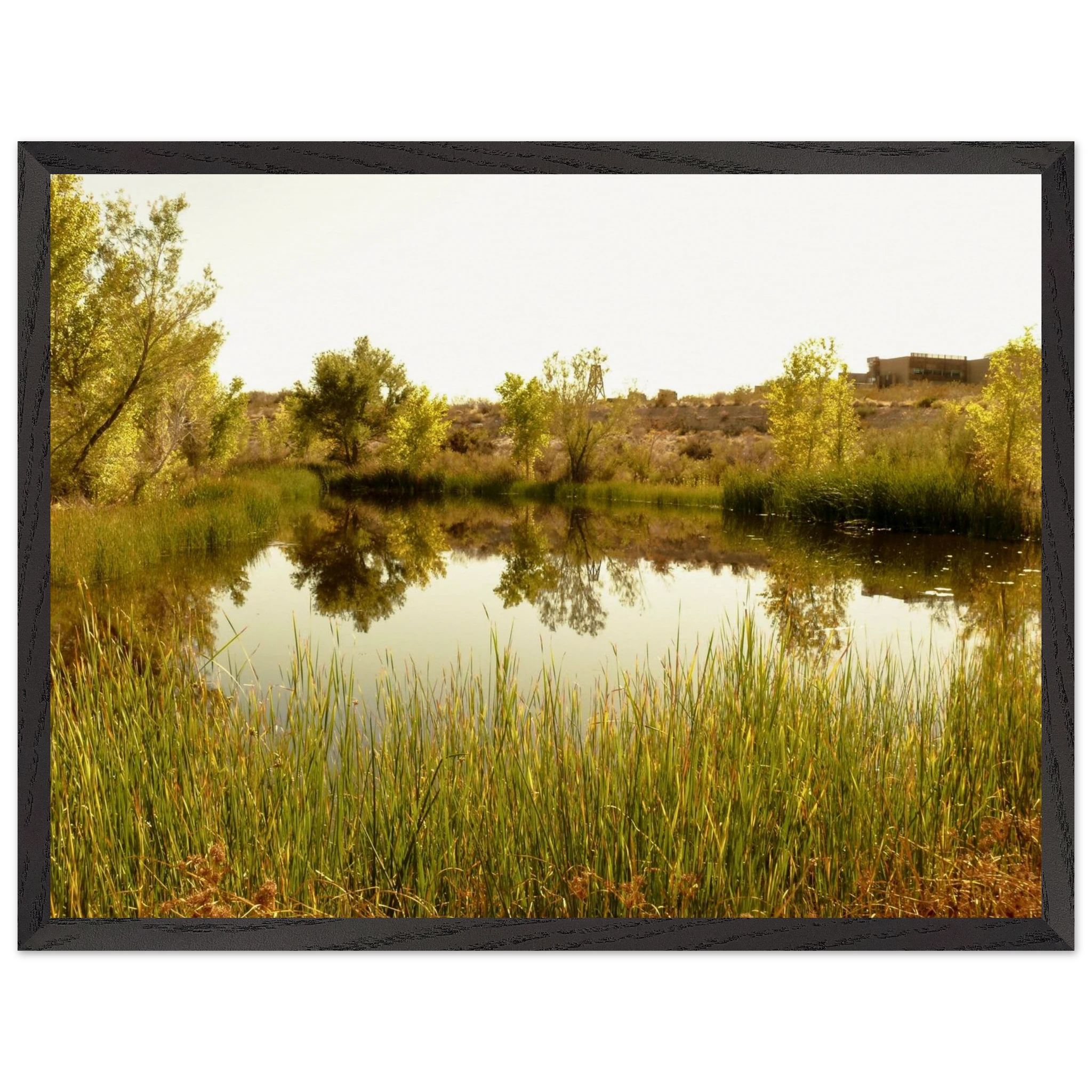 71721281-8c36-47f0-8784-aa5ec88920ab