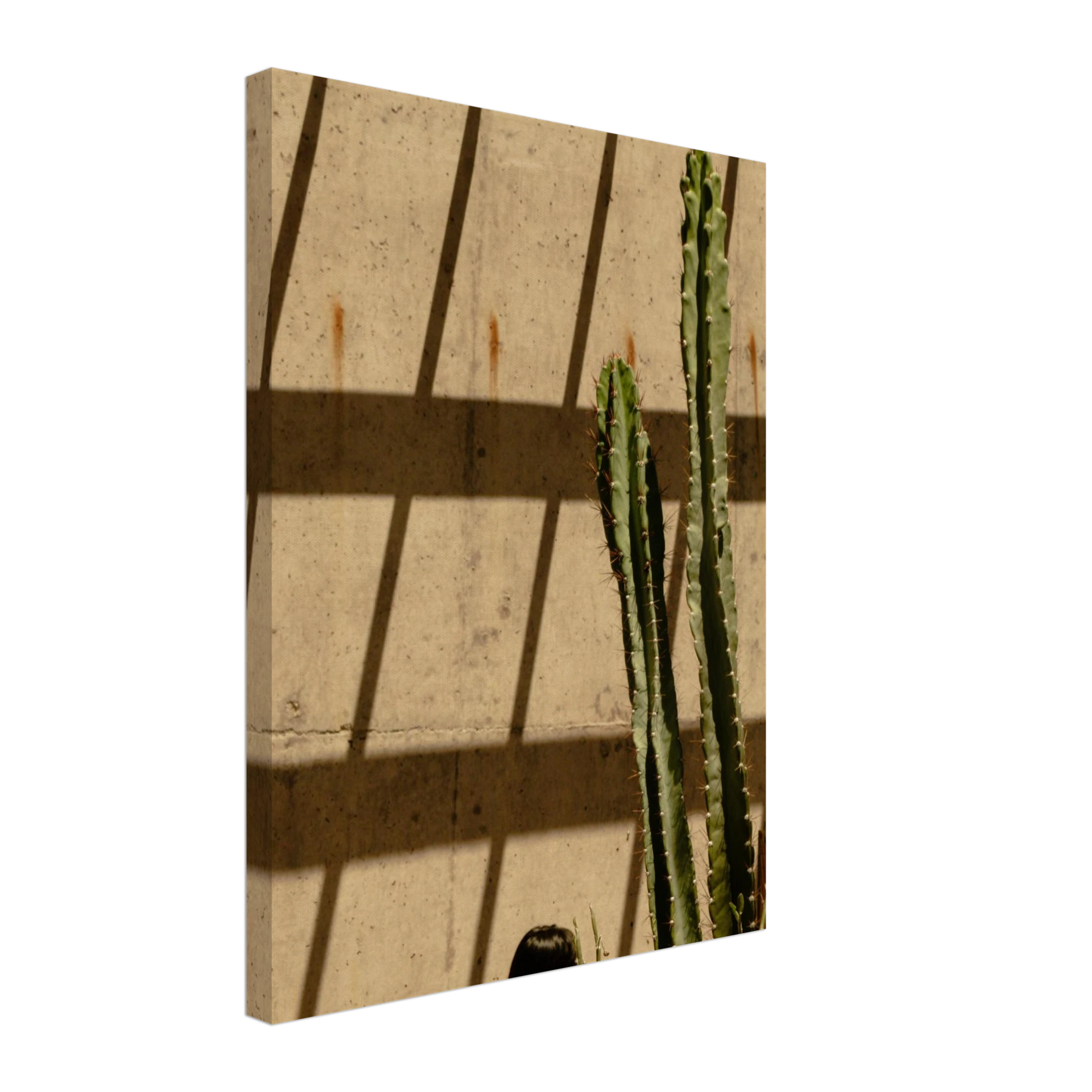 718309c2-c013-483c-bd2e-0f77c63d1f88