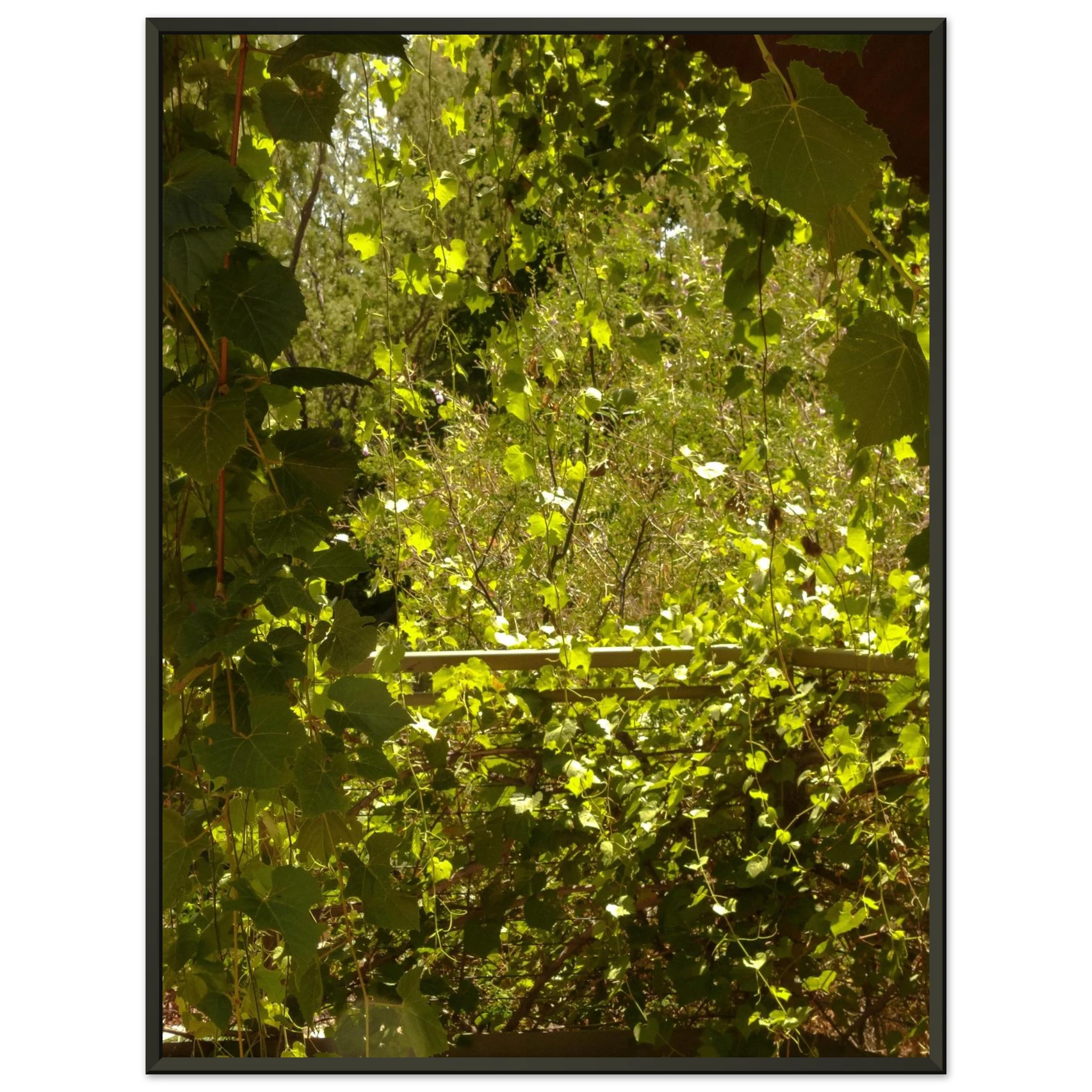 71b11d8e-6427-4fcf-85d2-da0de4a1ba4a