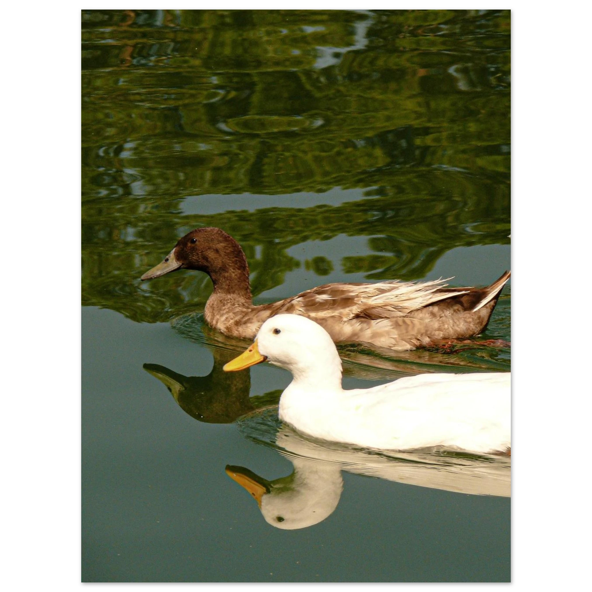 72629639-4a76-4ccb-b487-f96e0dafd73d