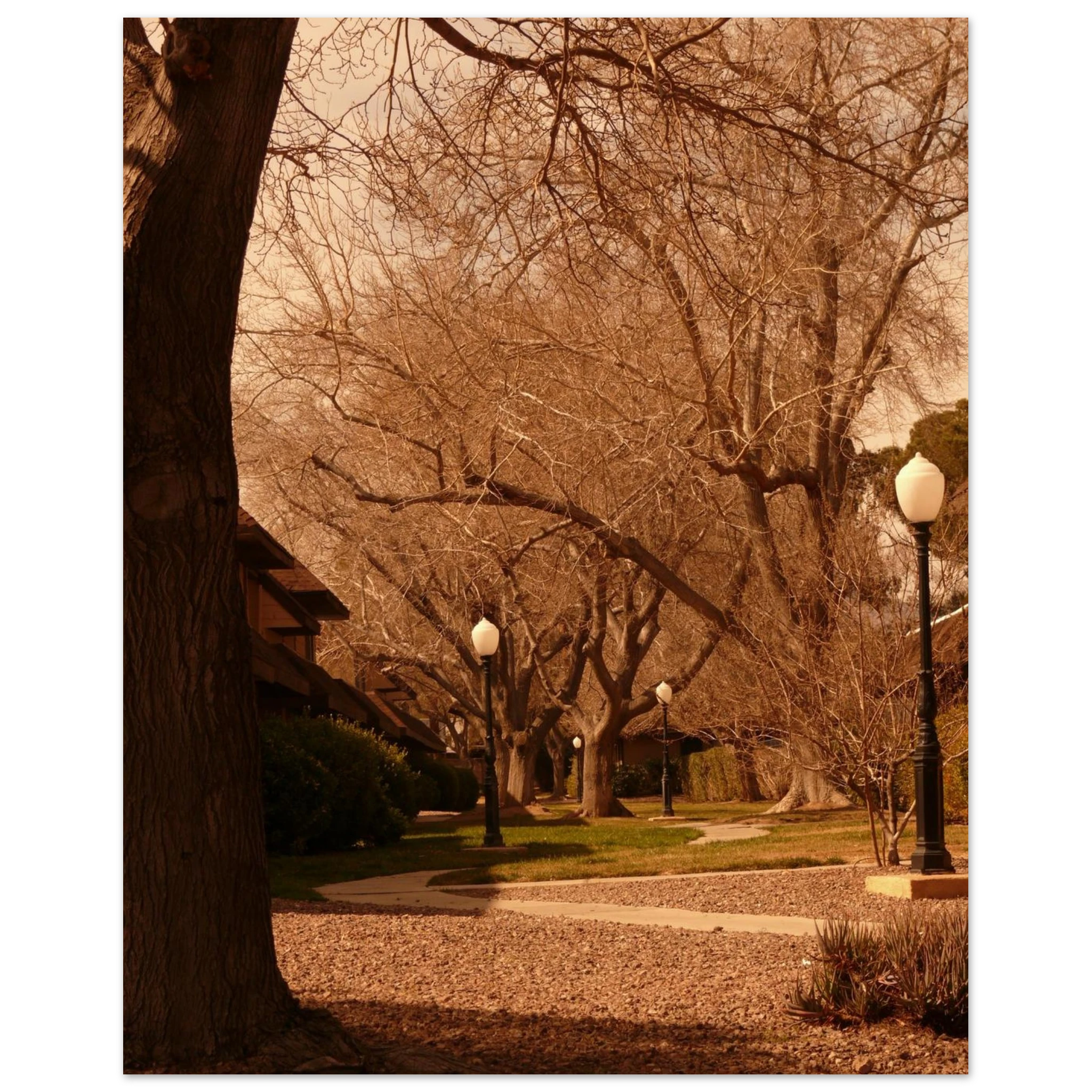 73920689-598b-46bd-917c-9627a61e5acf