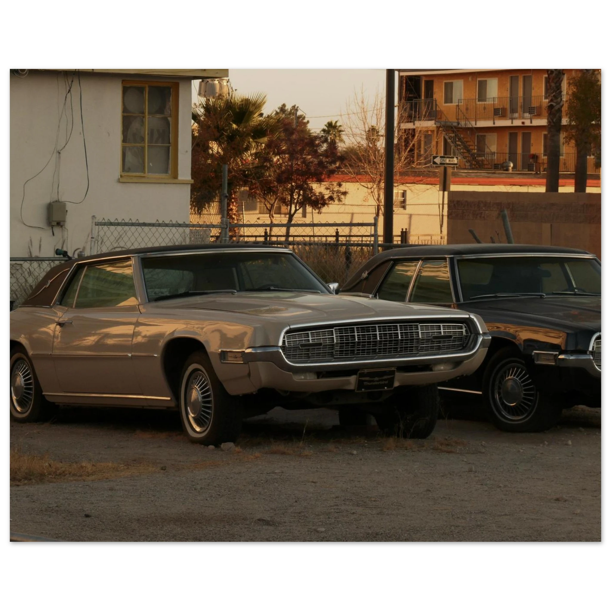 75b67313-2d98-4d2a-82e2-9ff902f46698