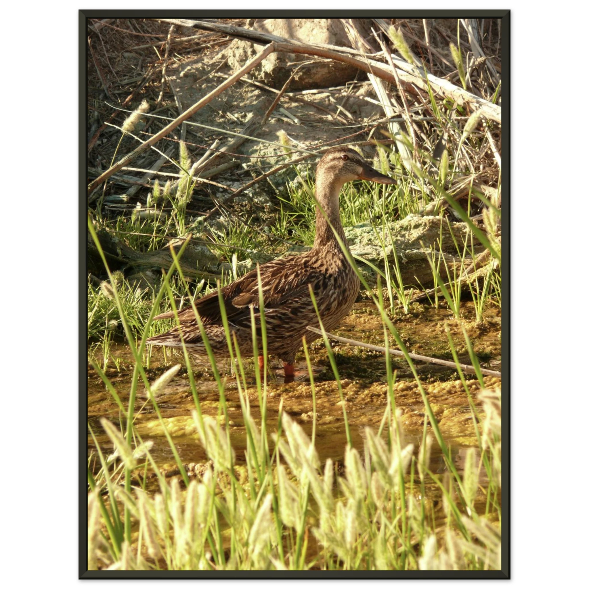 7881f04a-60b3-4ec7-8068-a6cbd68d6491