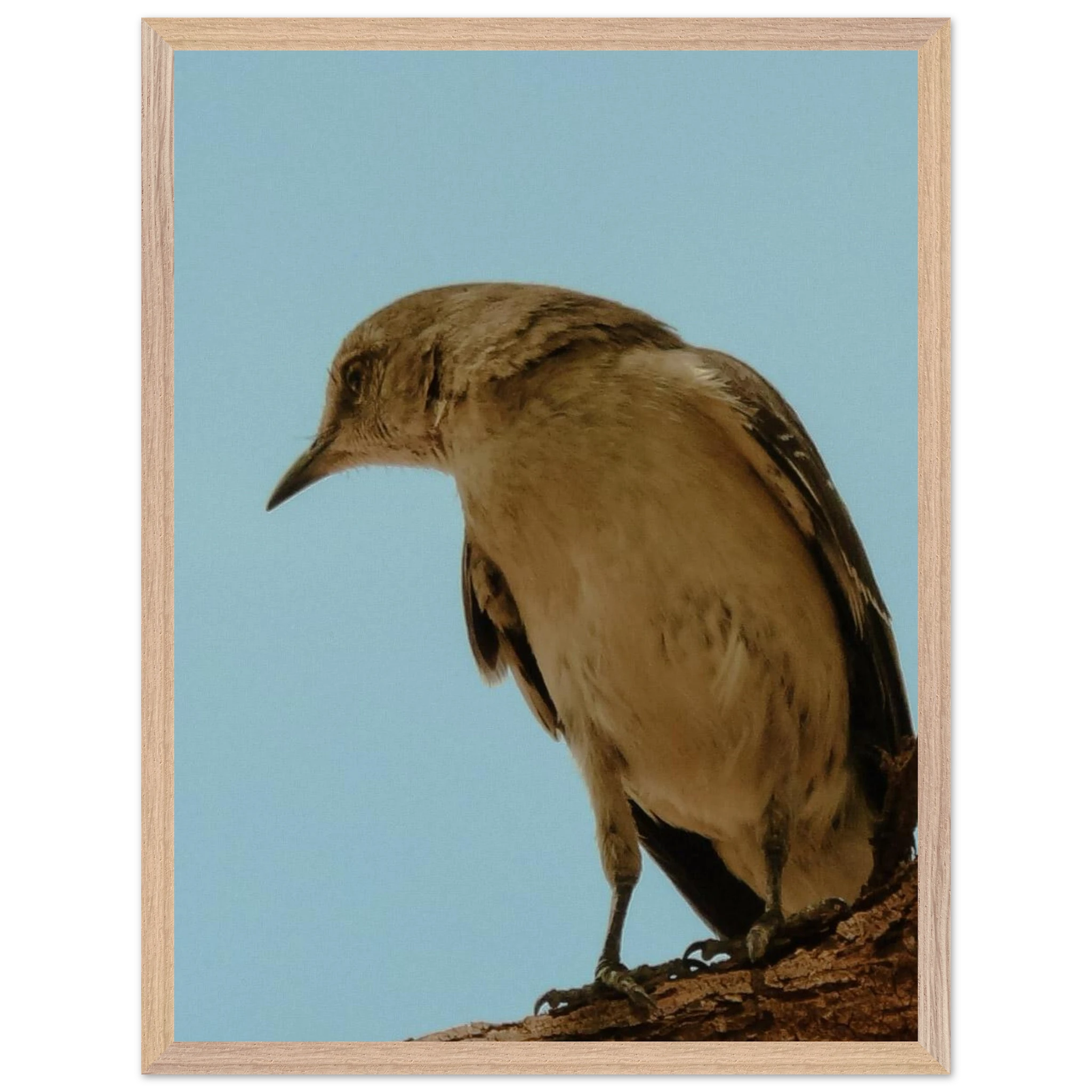 78acad4d-7490-4832-9583-f075bdfb1609