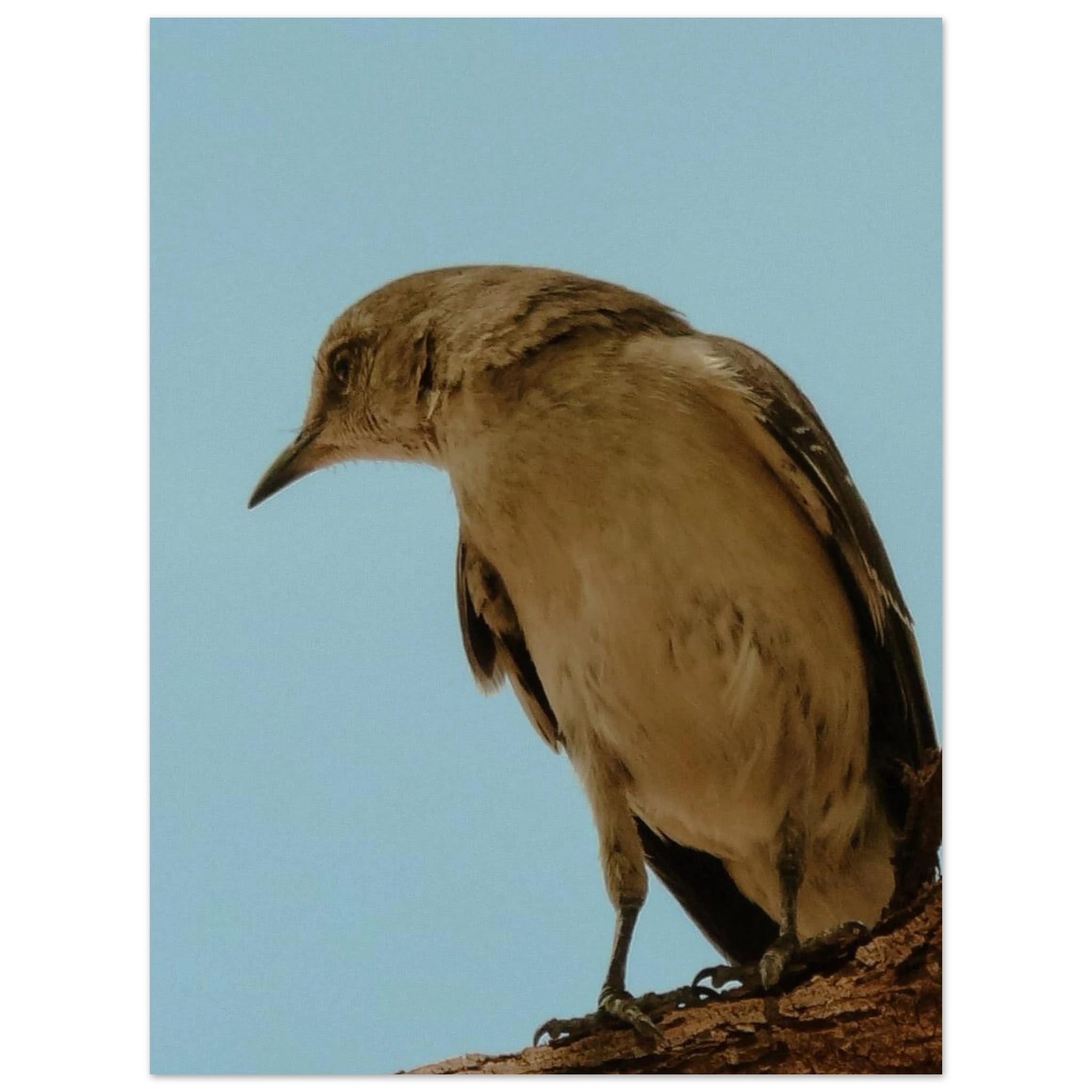 78c72081-5378-42bb-98d7-845120902e04