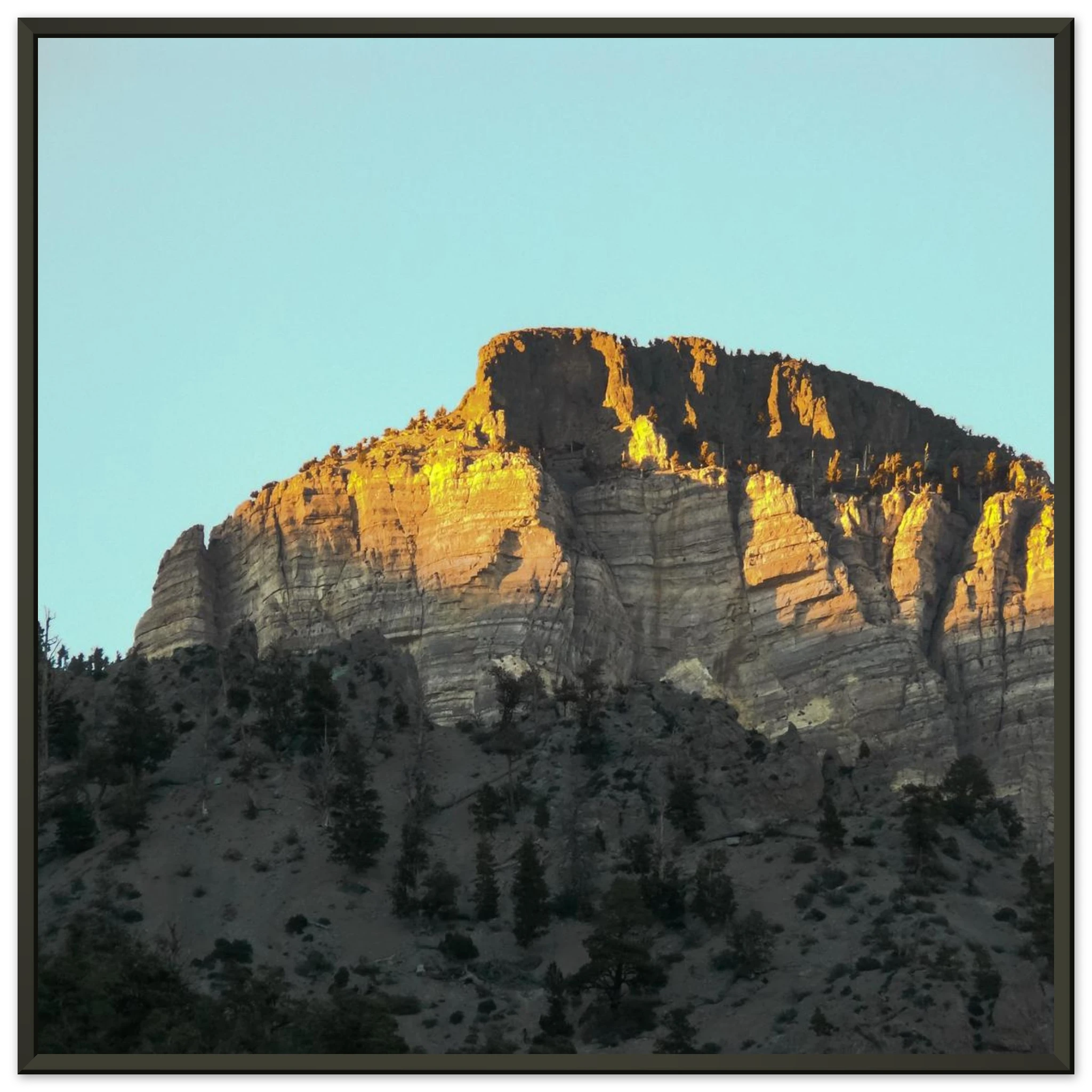 79de0e59-47cf-4b62-b9d0-0a762ab9ad0d