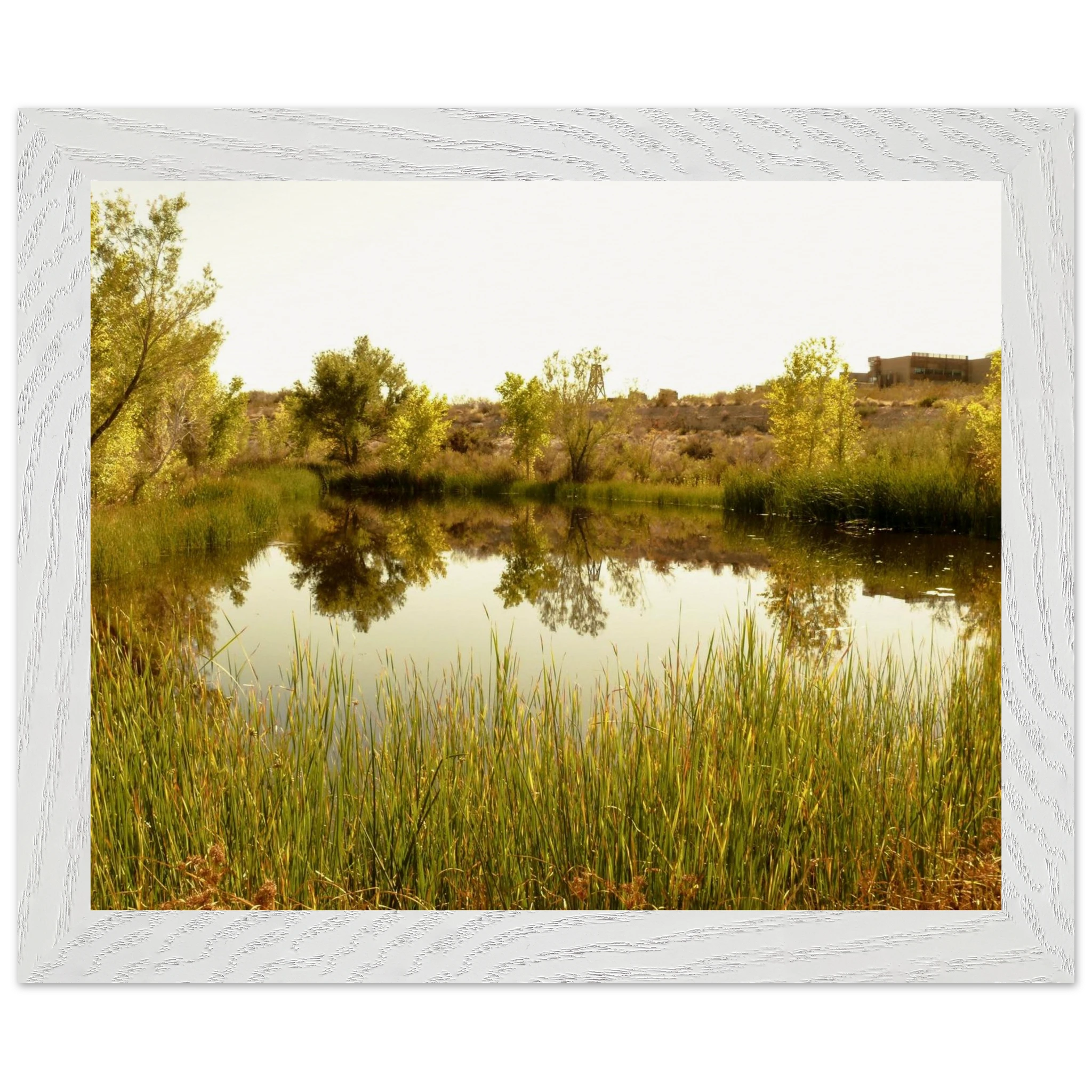 7a3d458c-7959-4428-970a-8a1e190a7d66