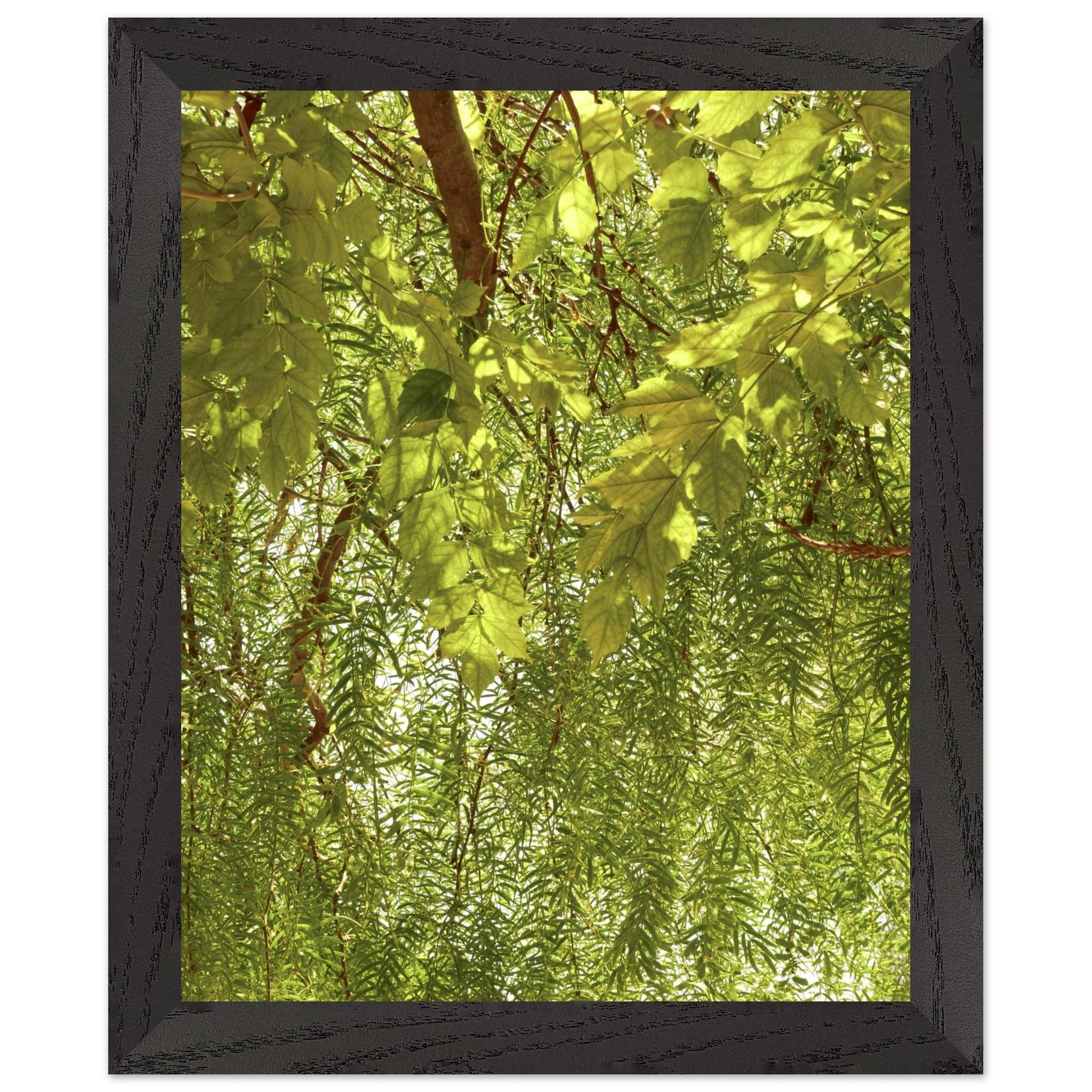 7a9d349d-0398-485e-8098-56d46a92c803