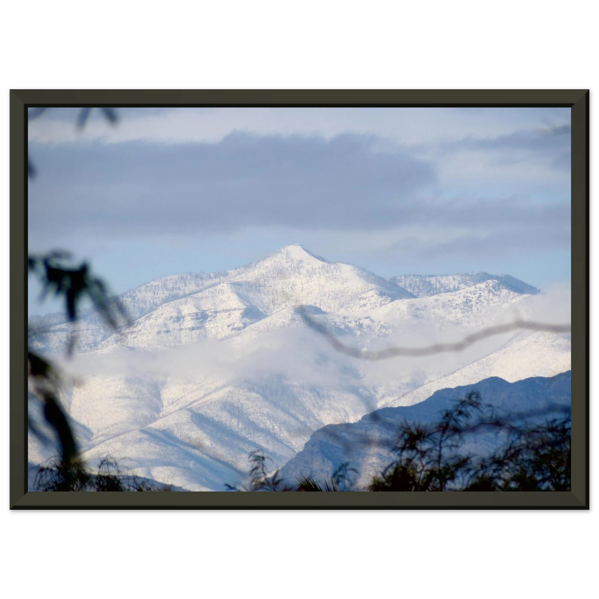 7e0abe31-41bc-412e-8baa-8e2101f0f117