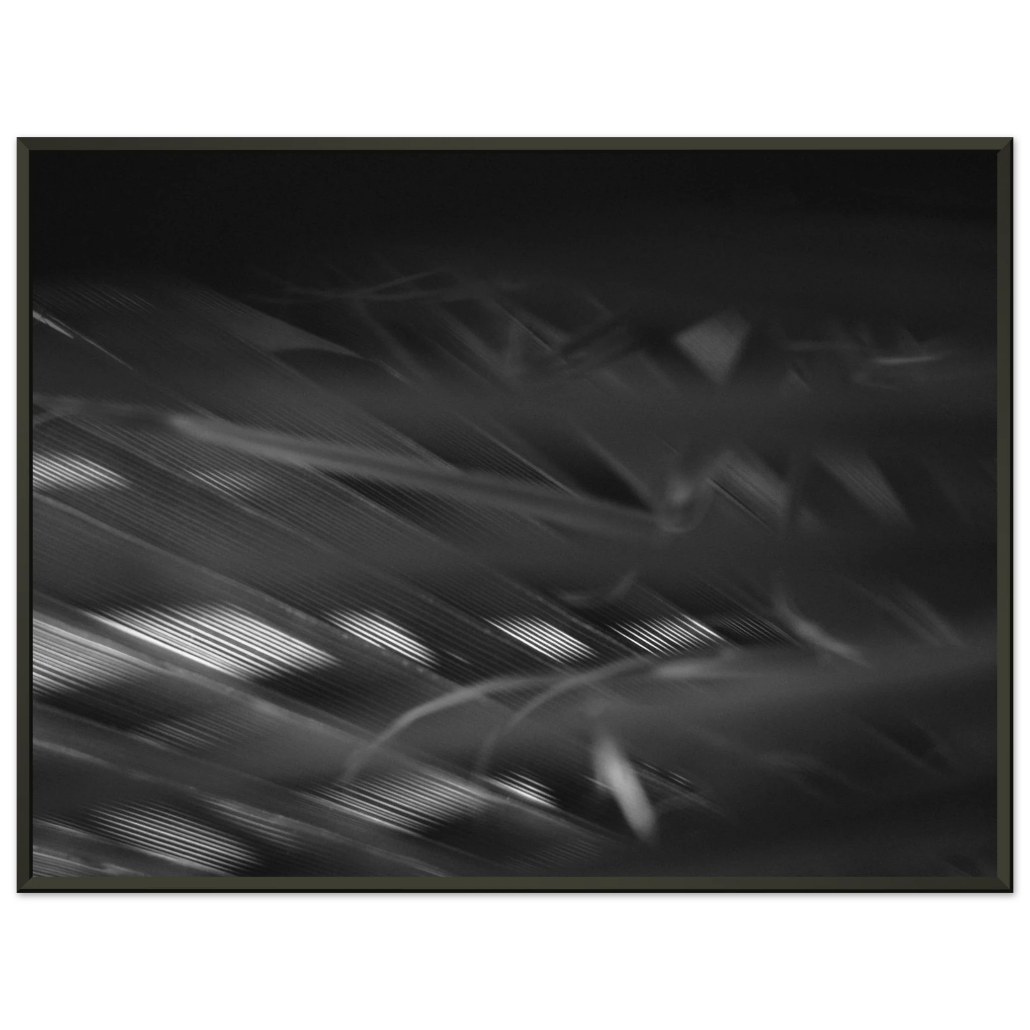 80cc2fe8-99d5-41fd-9b6d-ea0725c9af37