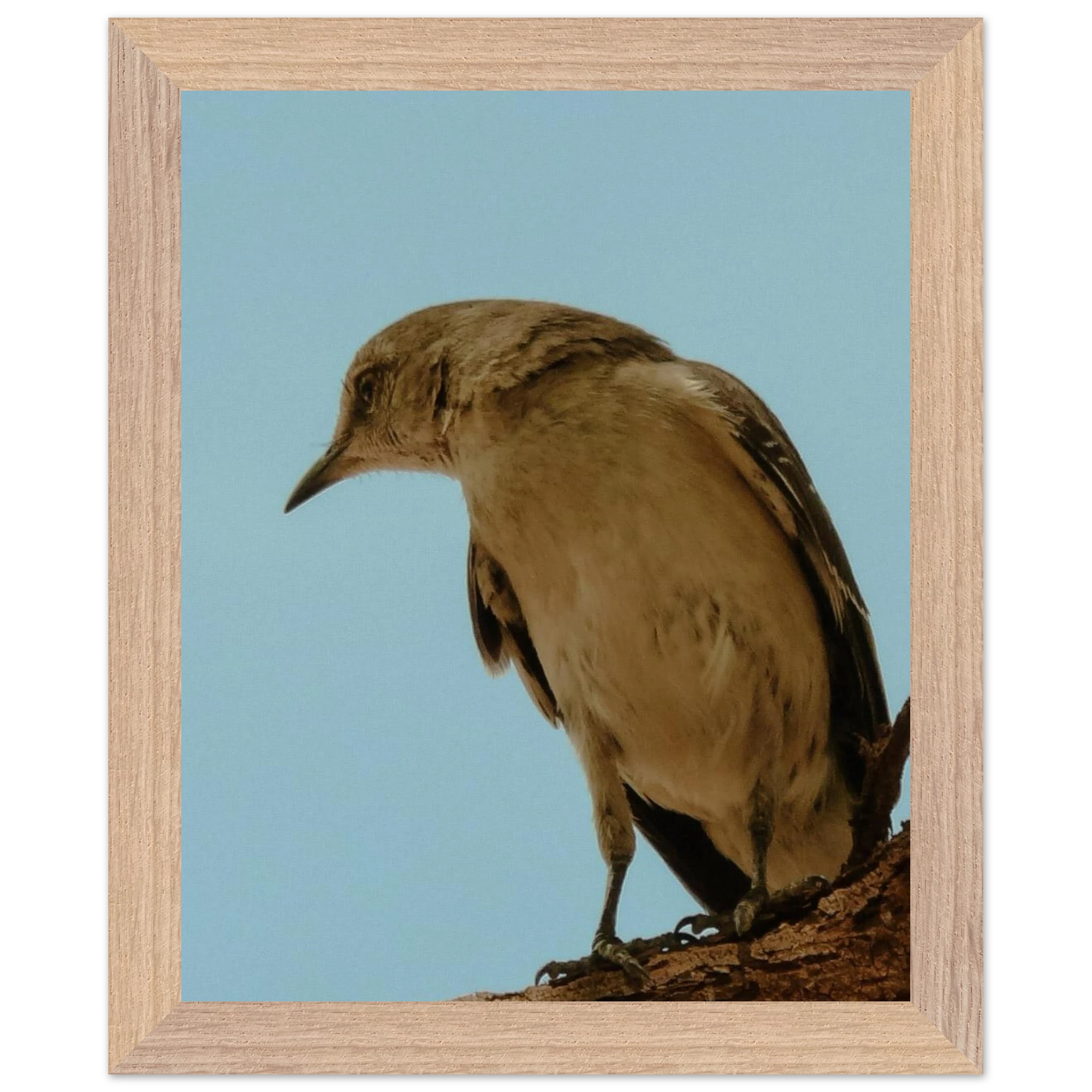 8726822c-c398-4cb8-9f1c-9c12c94f2988