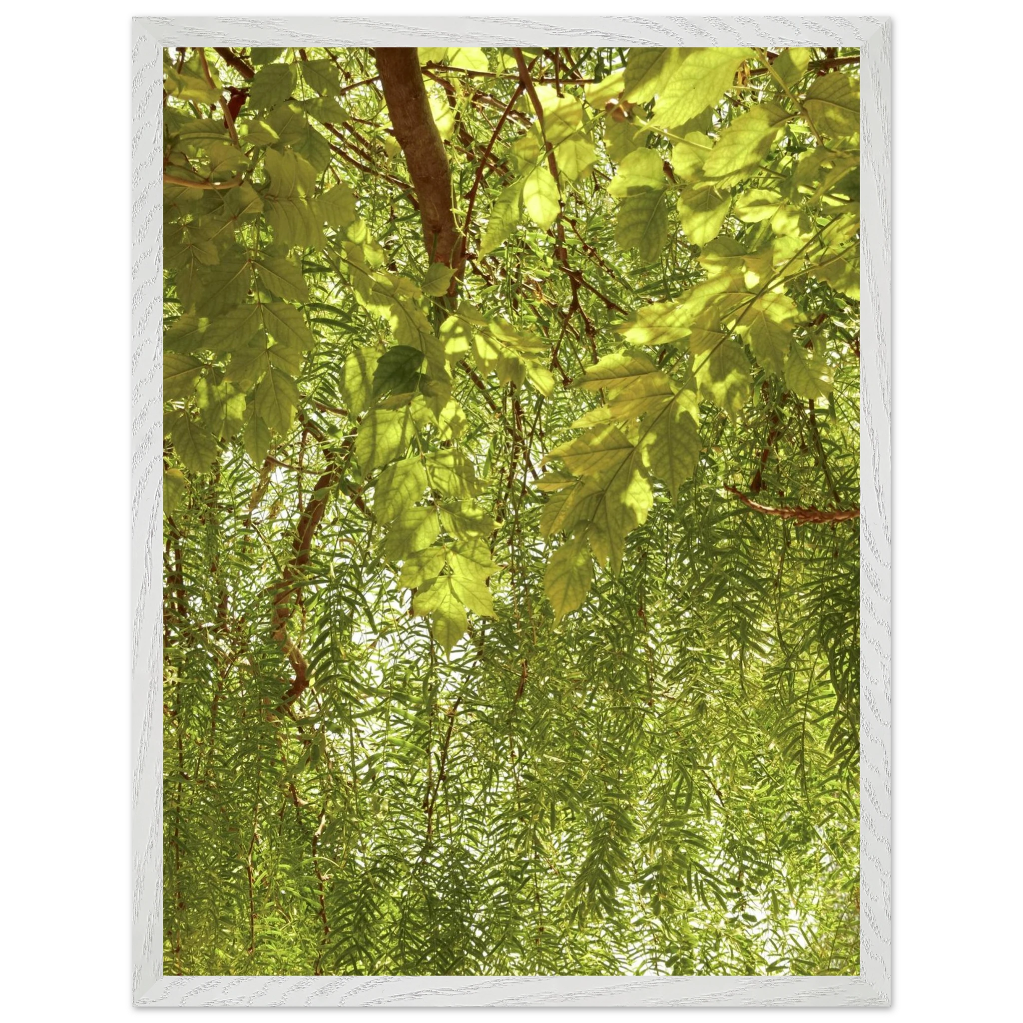 88a0eecd-8e07-45c4-89be-f65122642906