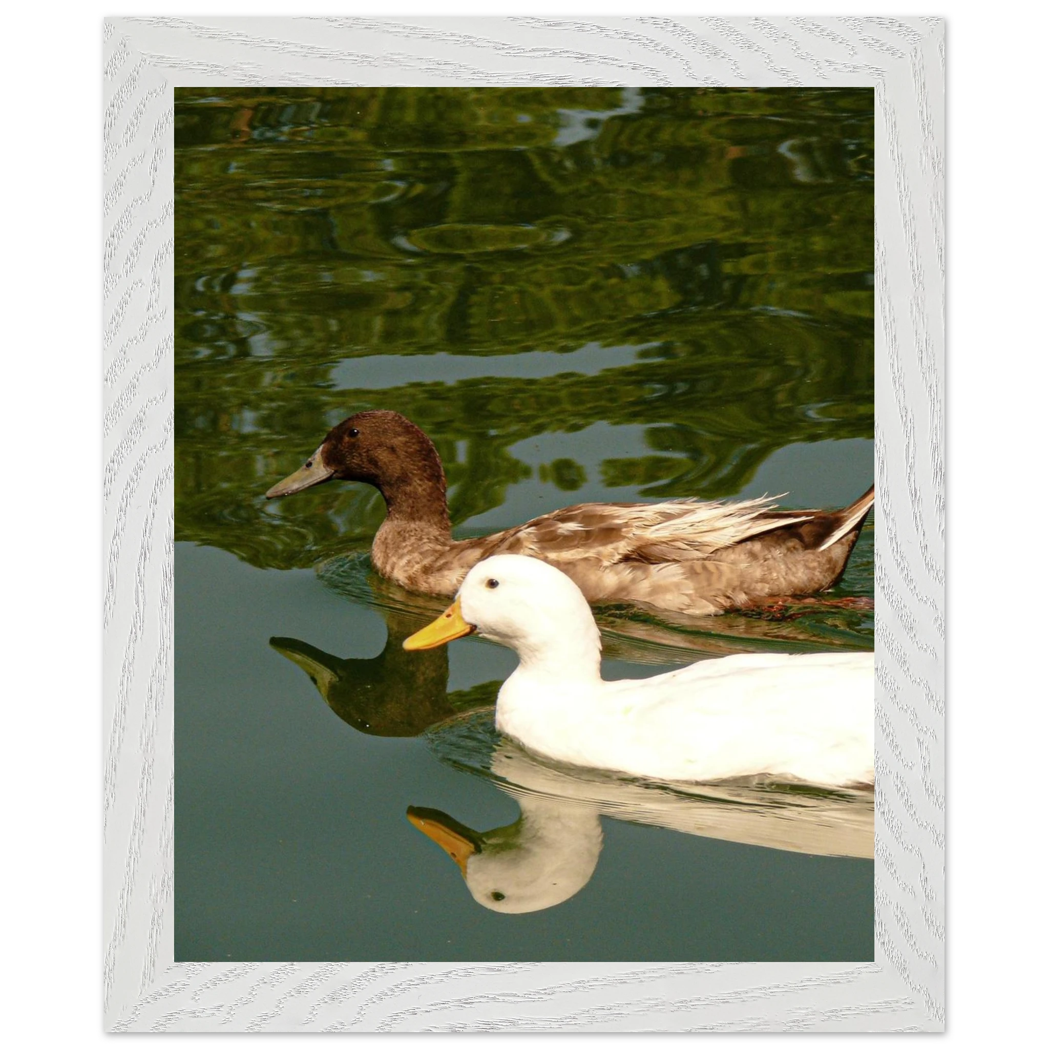 8c2ef8da-e8cd-42db-a593-59e1aee09417