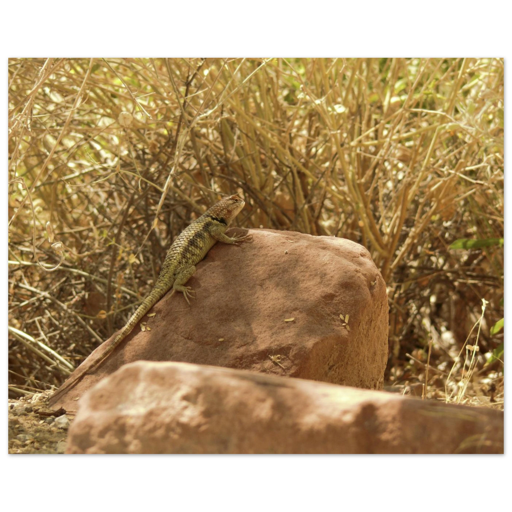 8cb78af8-f80c-42c0-9e37-071ea6b0813f