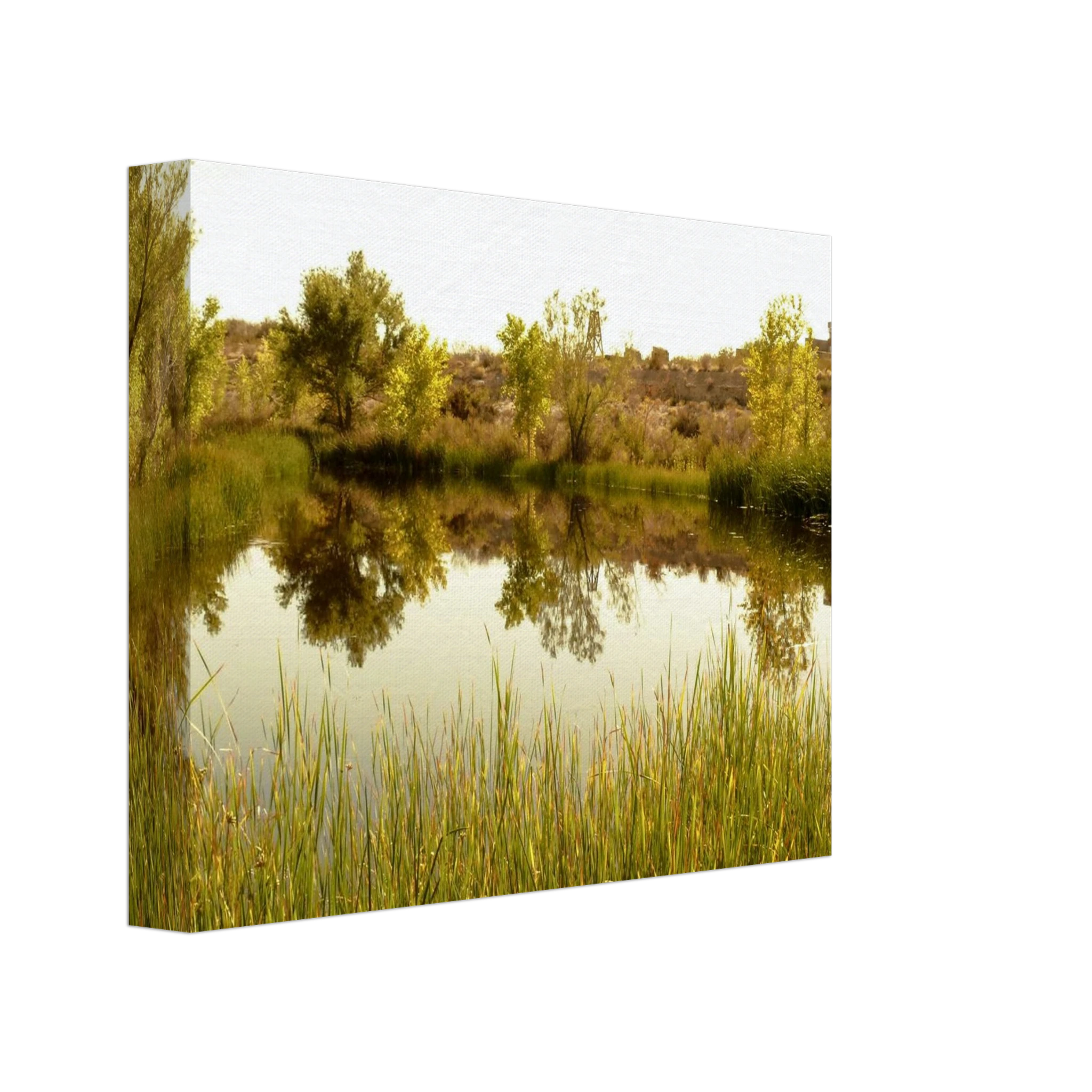 8d1b53b4-24bb-435f-bdf4-0e99605421e6