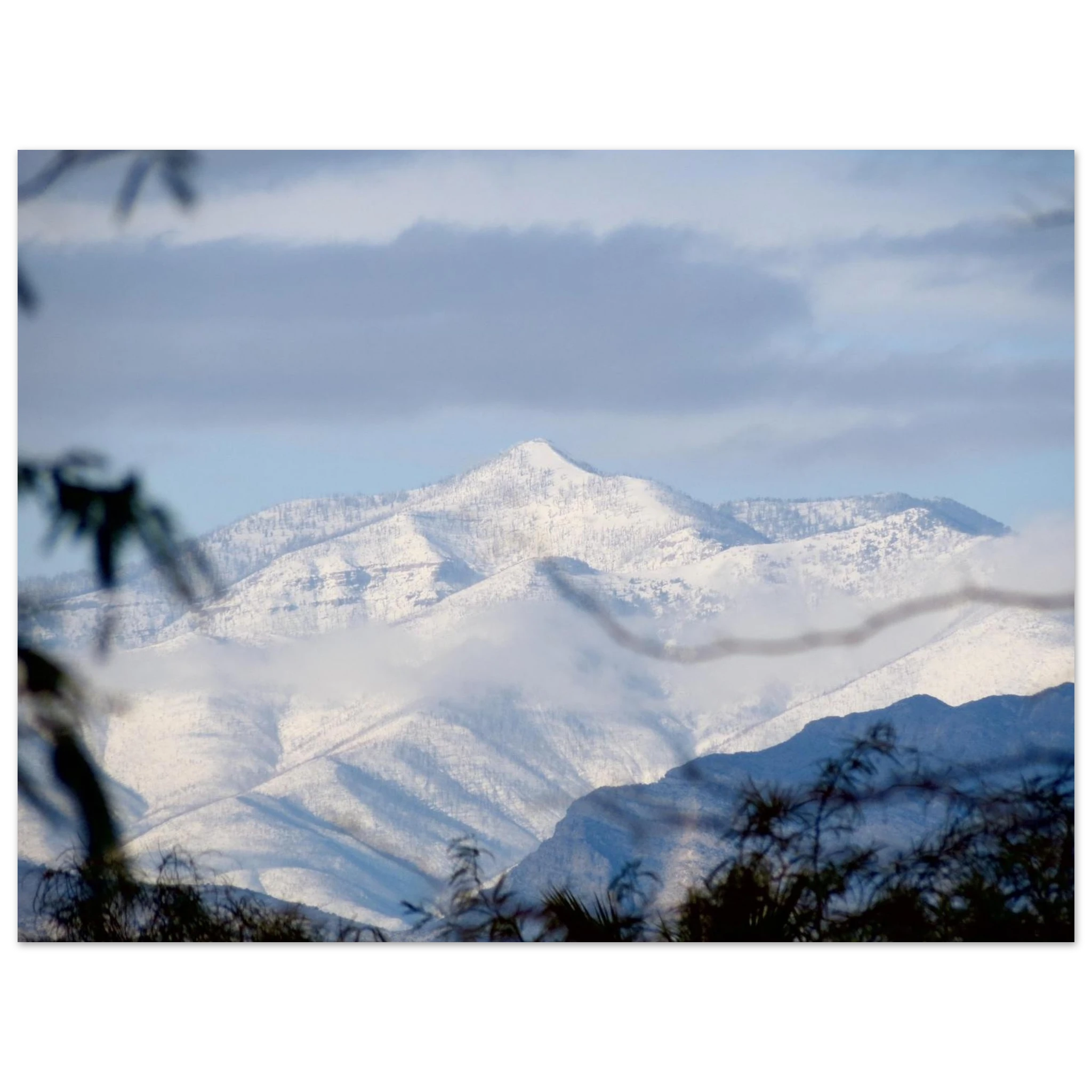 912452d7-fbf8-44f3-a618-0f78de2e8966