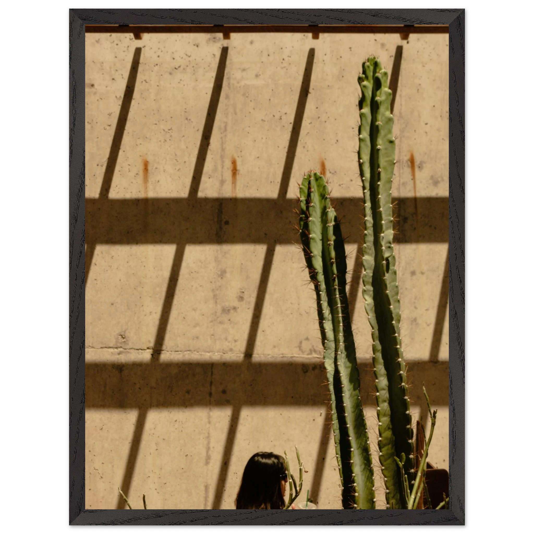 91f28abe-7a04-42d9-9d9d-dc5461f99283