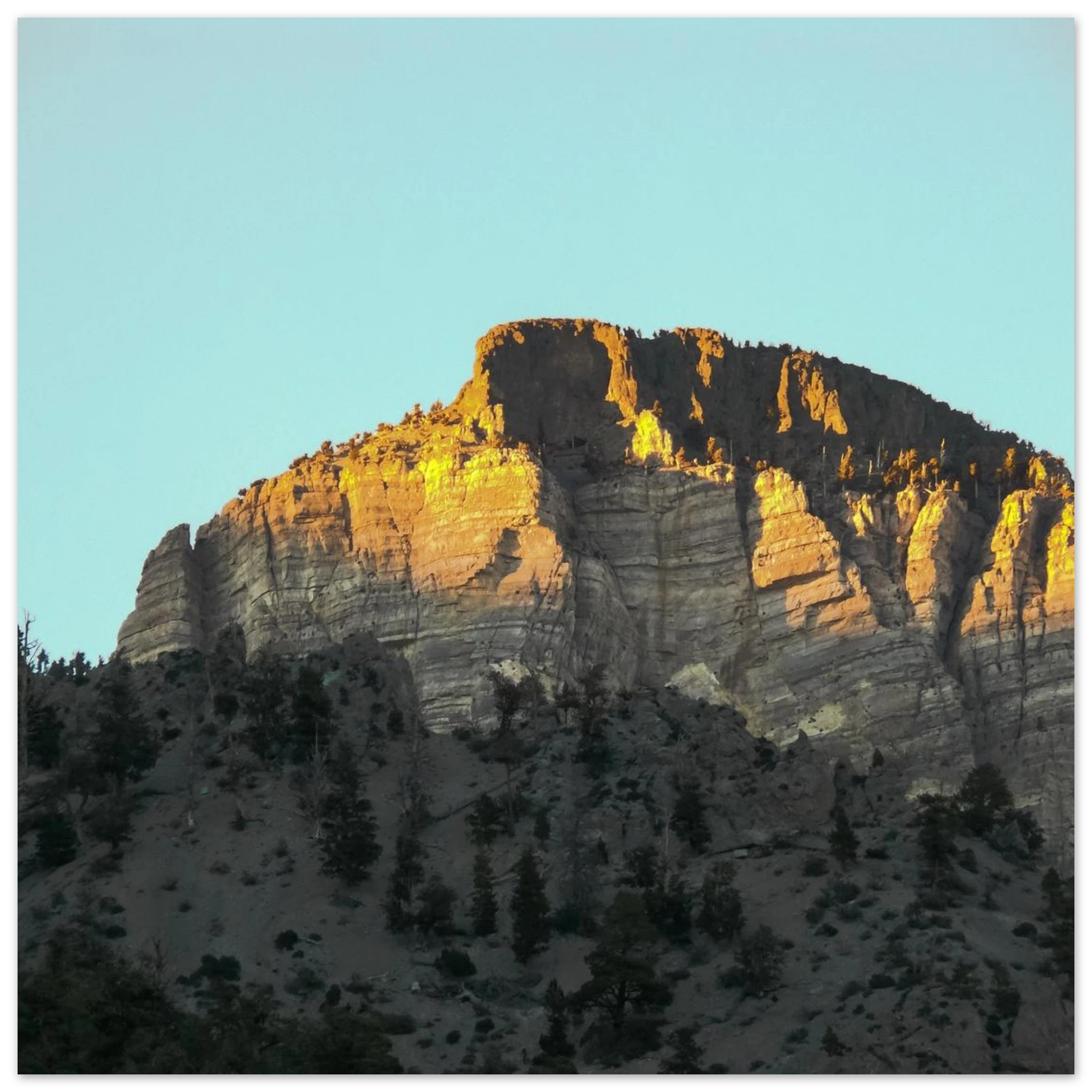 922c8c60-eaa7-459a-bc4e-6dbf0501a692