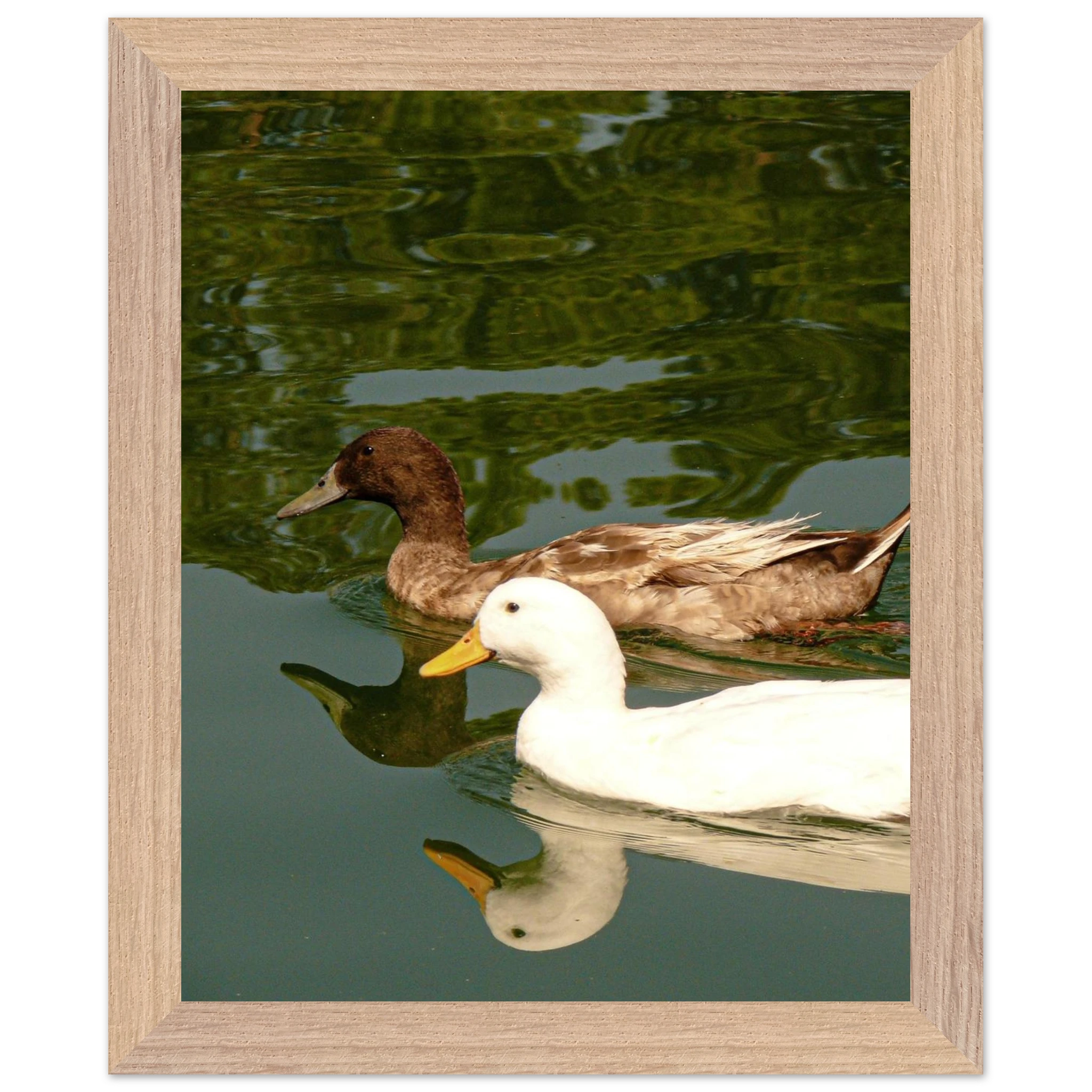 92c8dd9a-30de-448b-8a3e-8de1f198642d