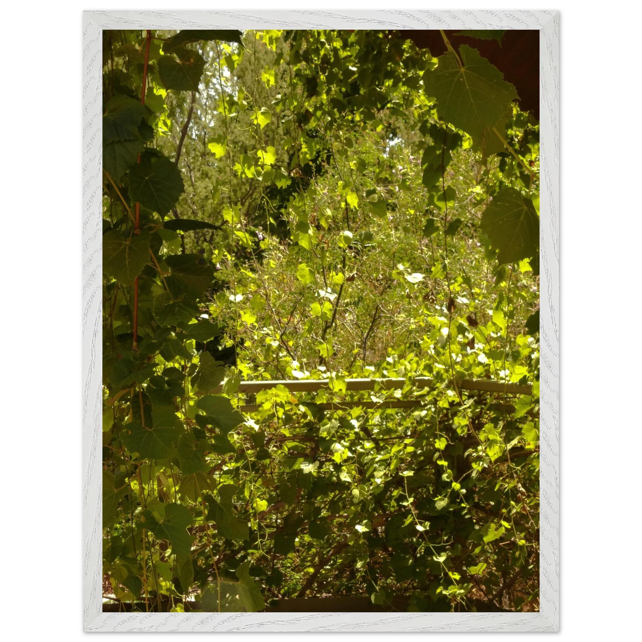 9385e579-9fd7-4820-9069-87aef360db37