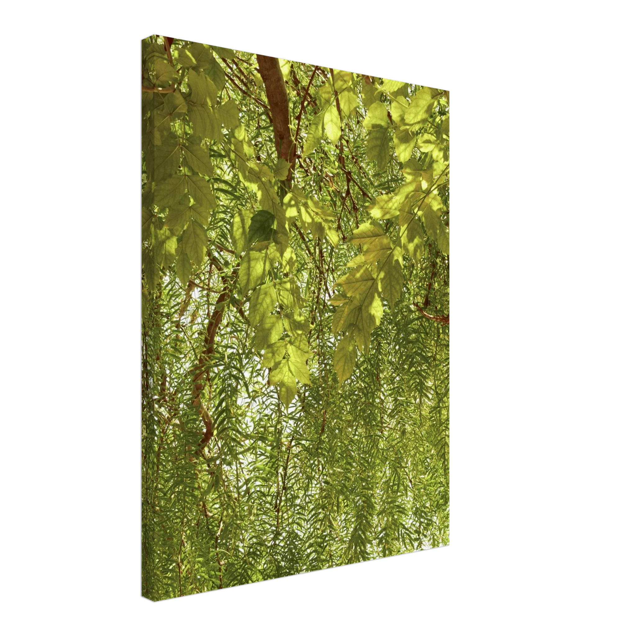 9405c157-54ff-4ec7-82a9-4df0a25f80f0