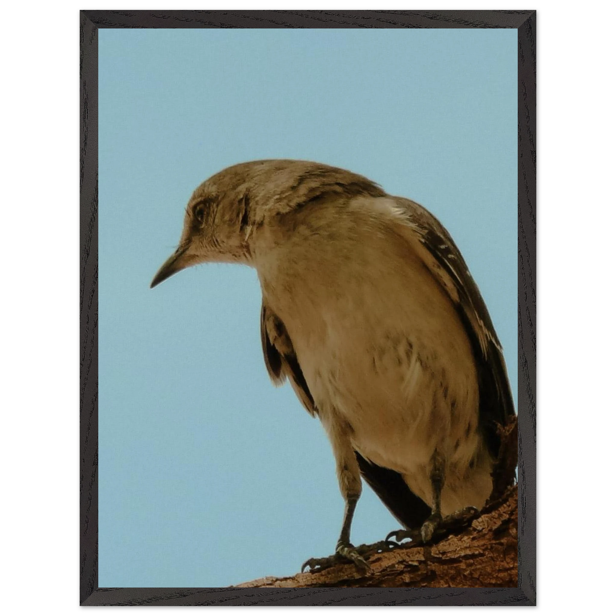 948b5f3e-d3d7-4d17-be42-ab5331f3bca5