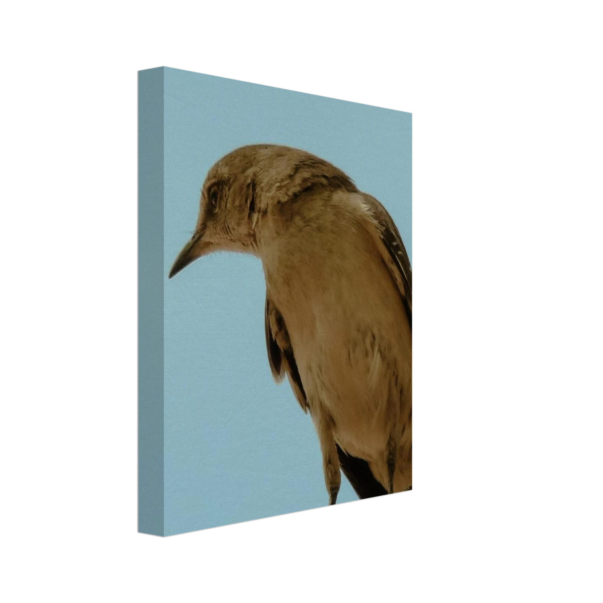 966d423c-77a1-45ec-9a3e-fc6df0b2a6df