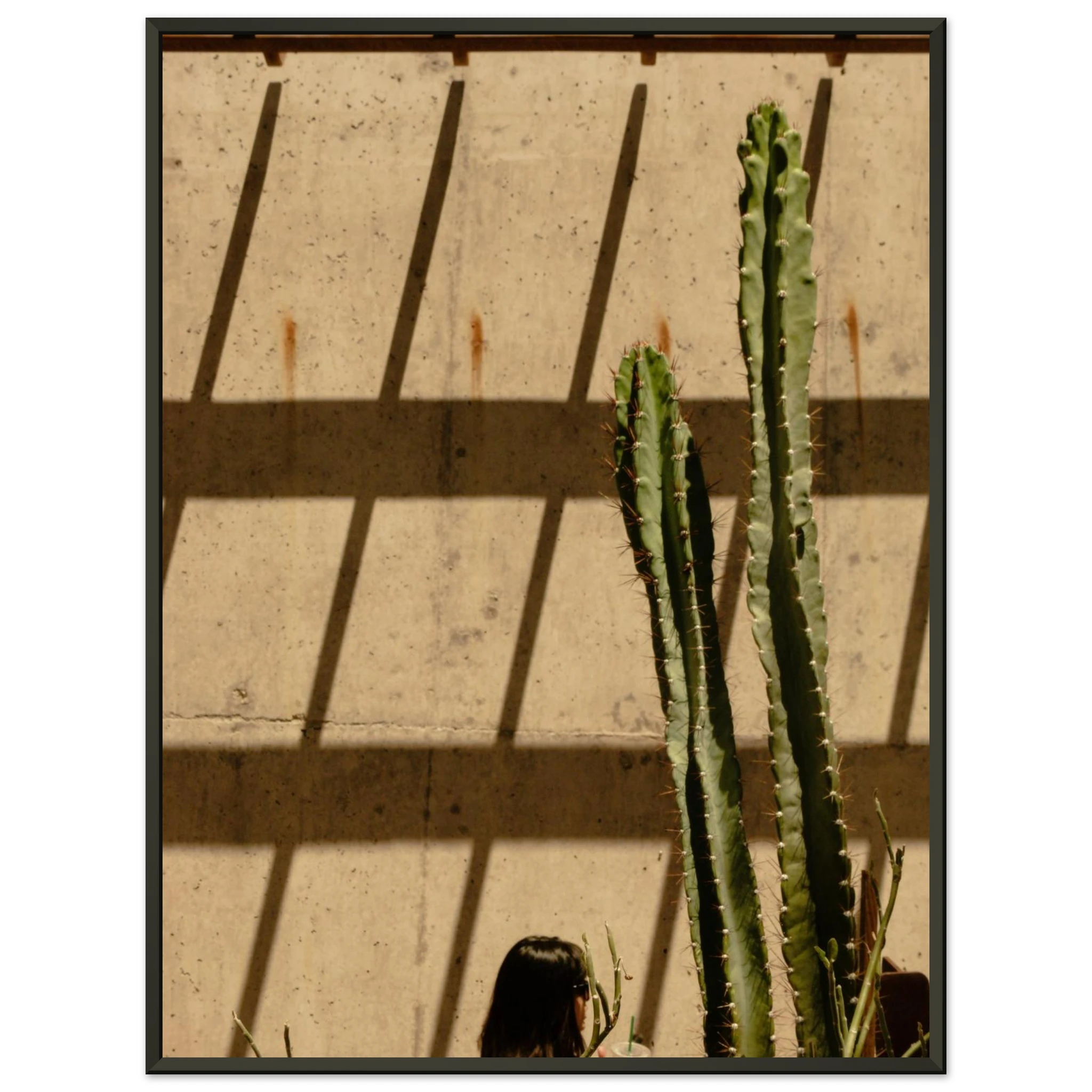 96e2ffed-b797-475d-8451-eae514bf6369