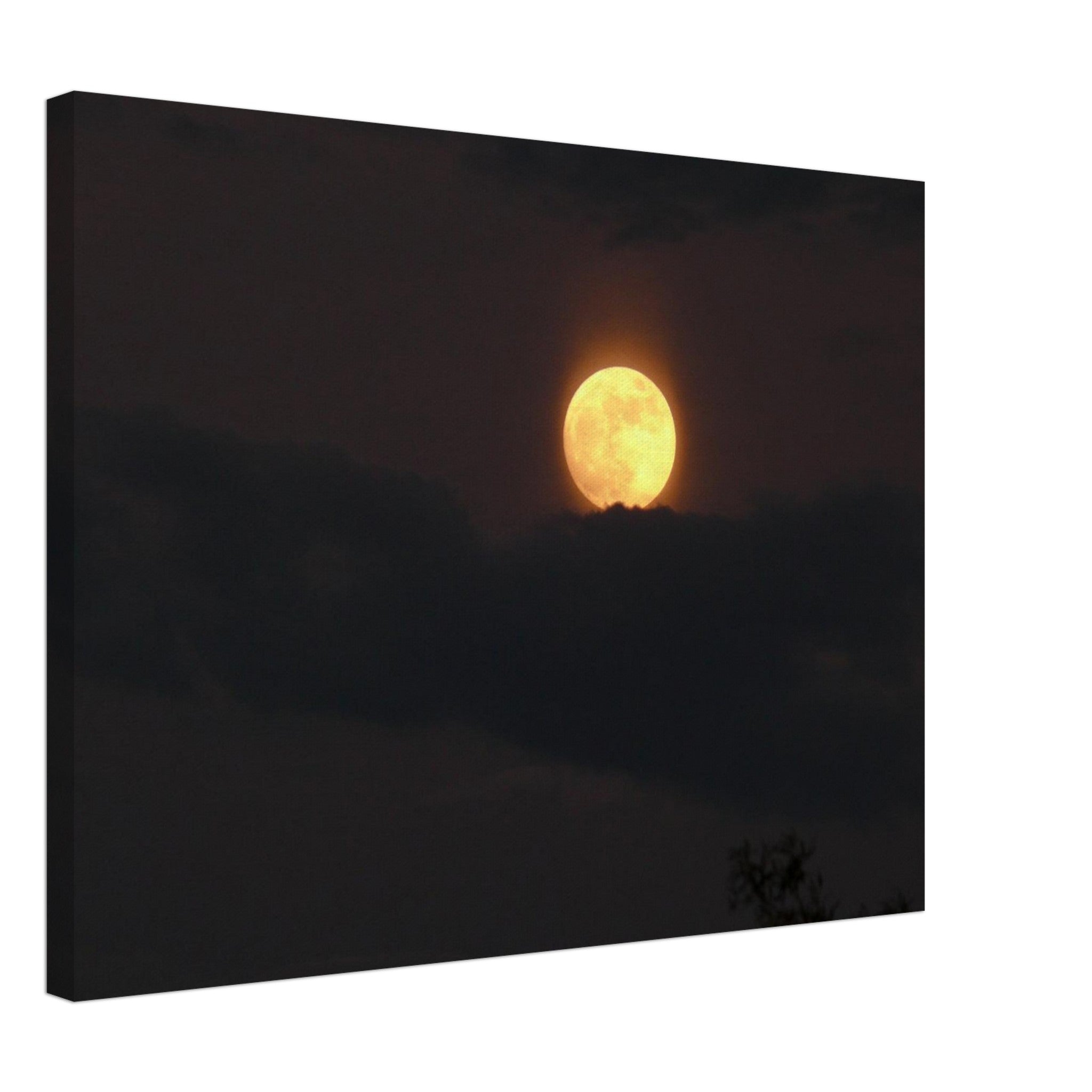 9865c656-afa7-4c3e-bdcd-86476eb42240