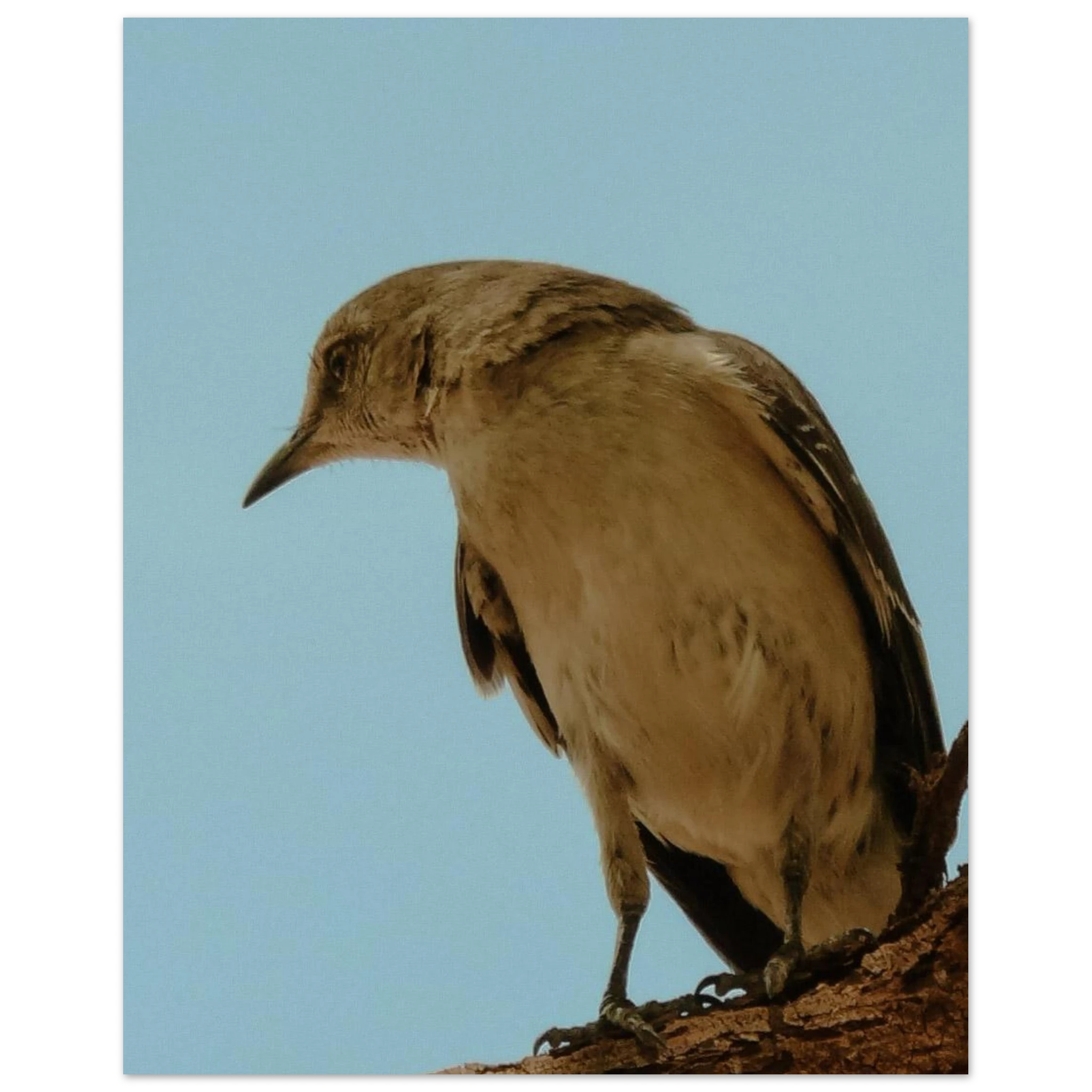 989c1d1f-1211-488c-ae89-ec25d422ddaf